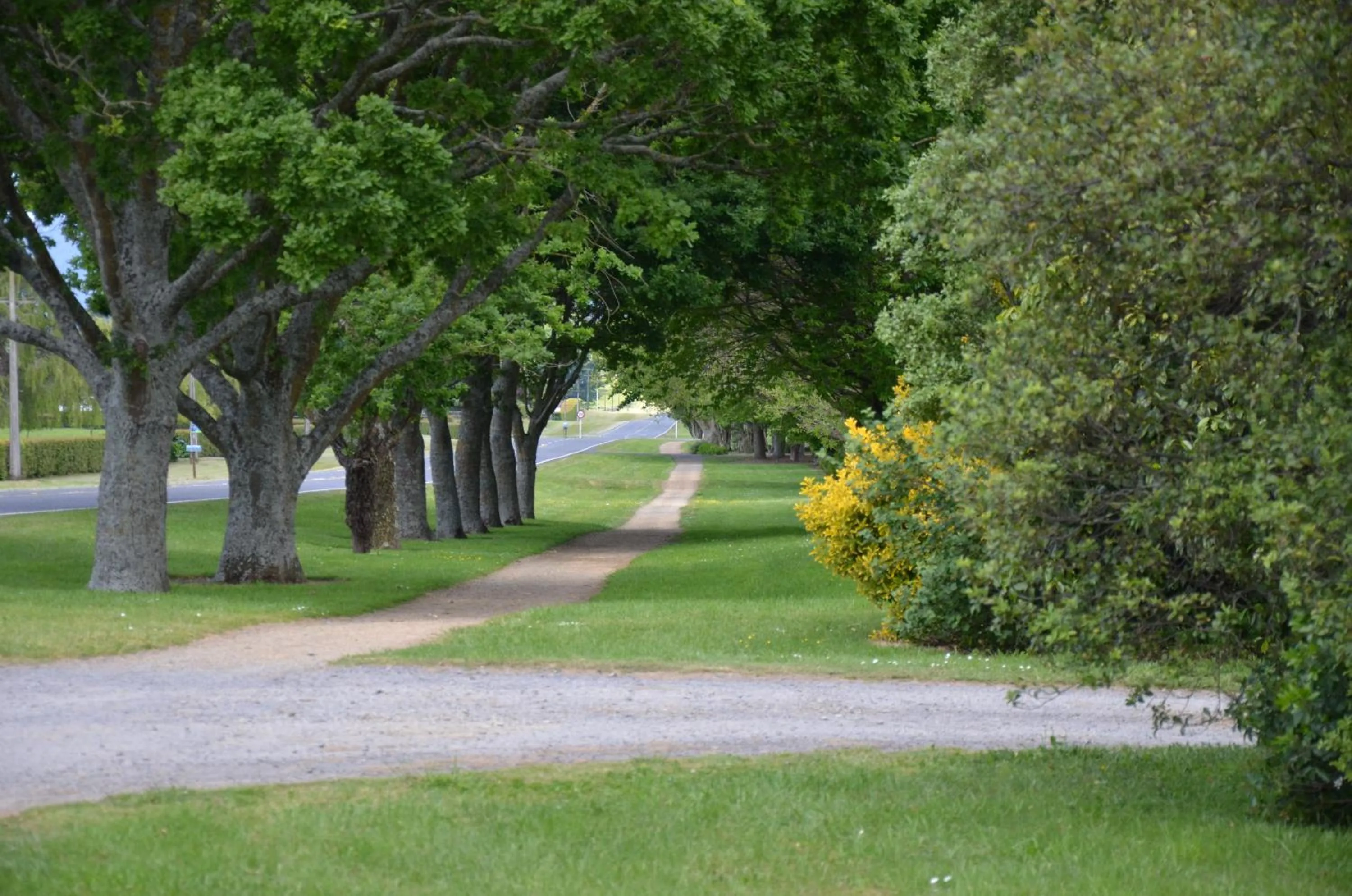 Neighbourhood in Tower Road Motel