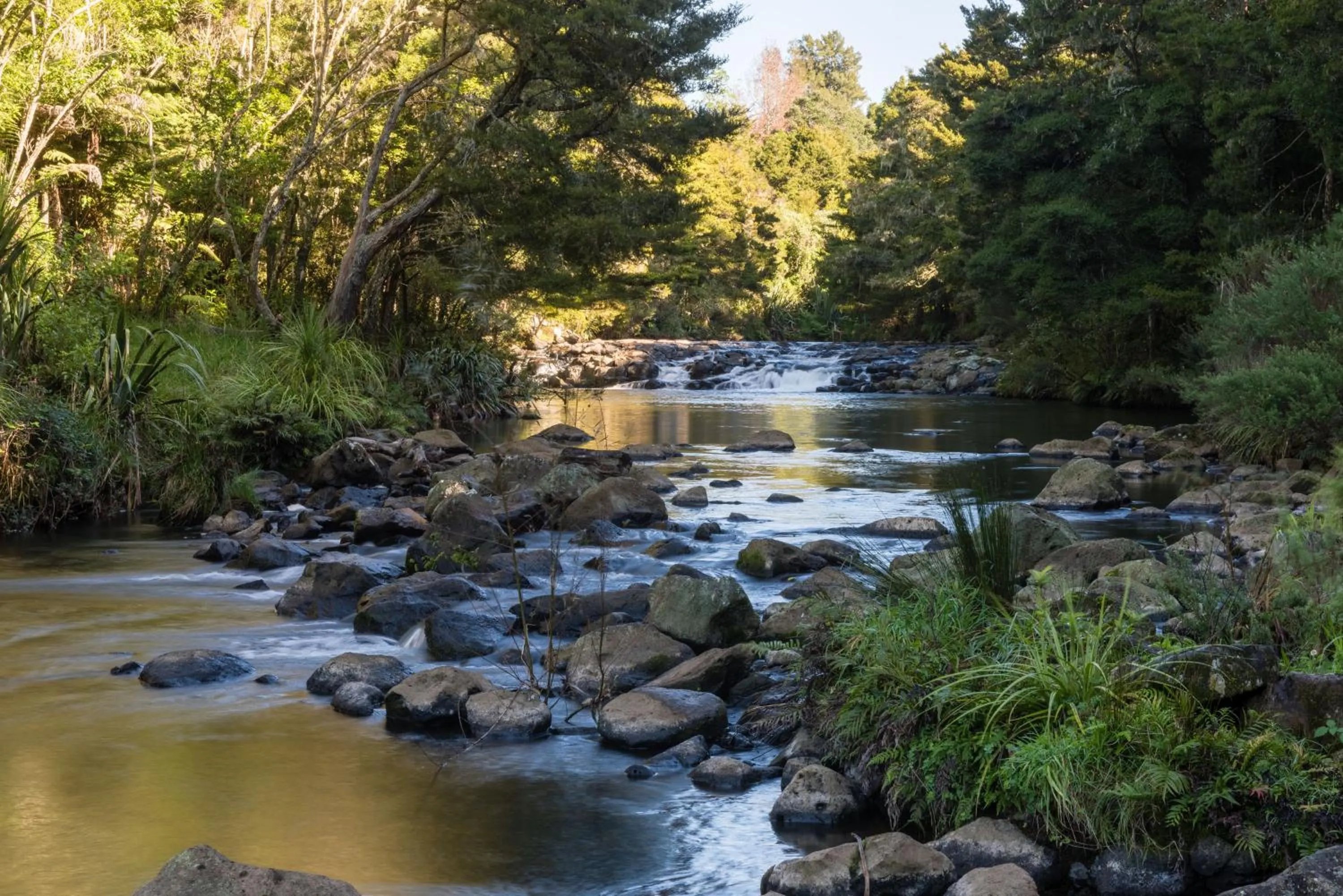 Natural landscape in Puketotara Lodge
