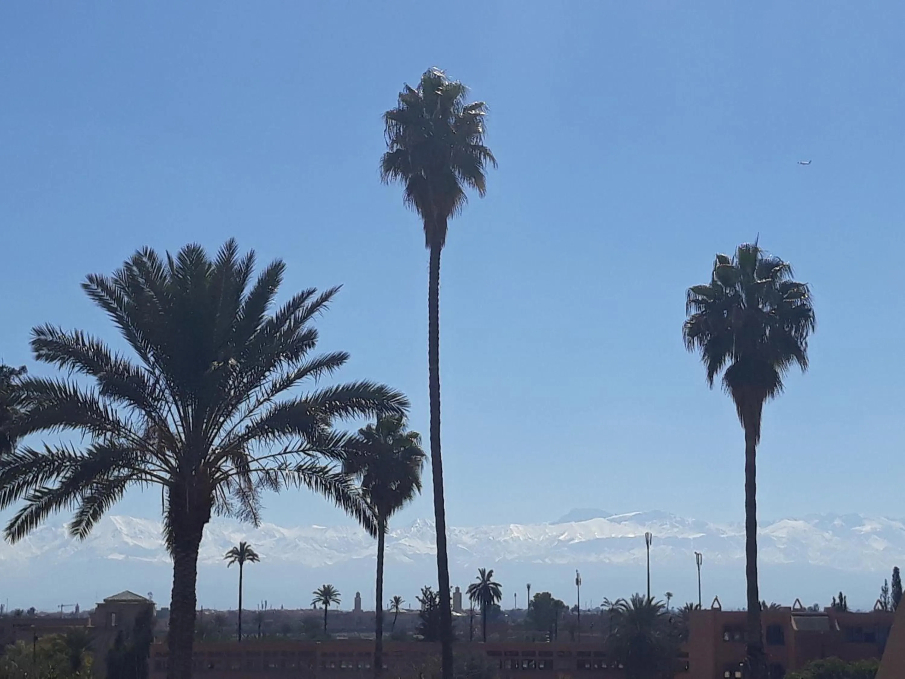 Patio in Riad CHERRATA