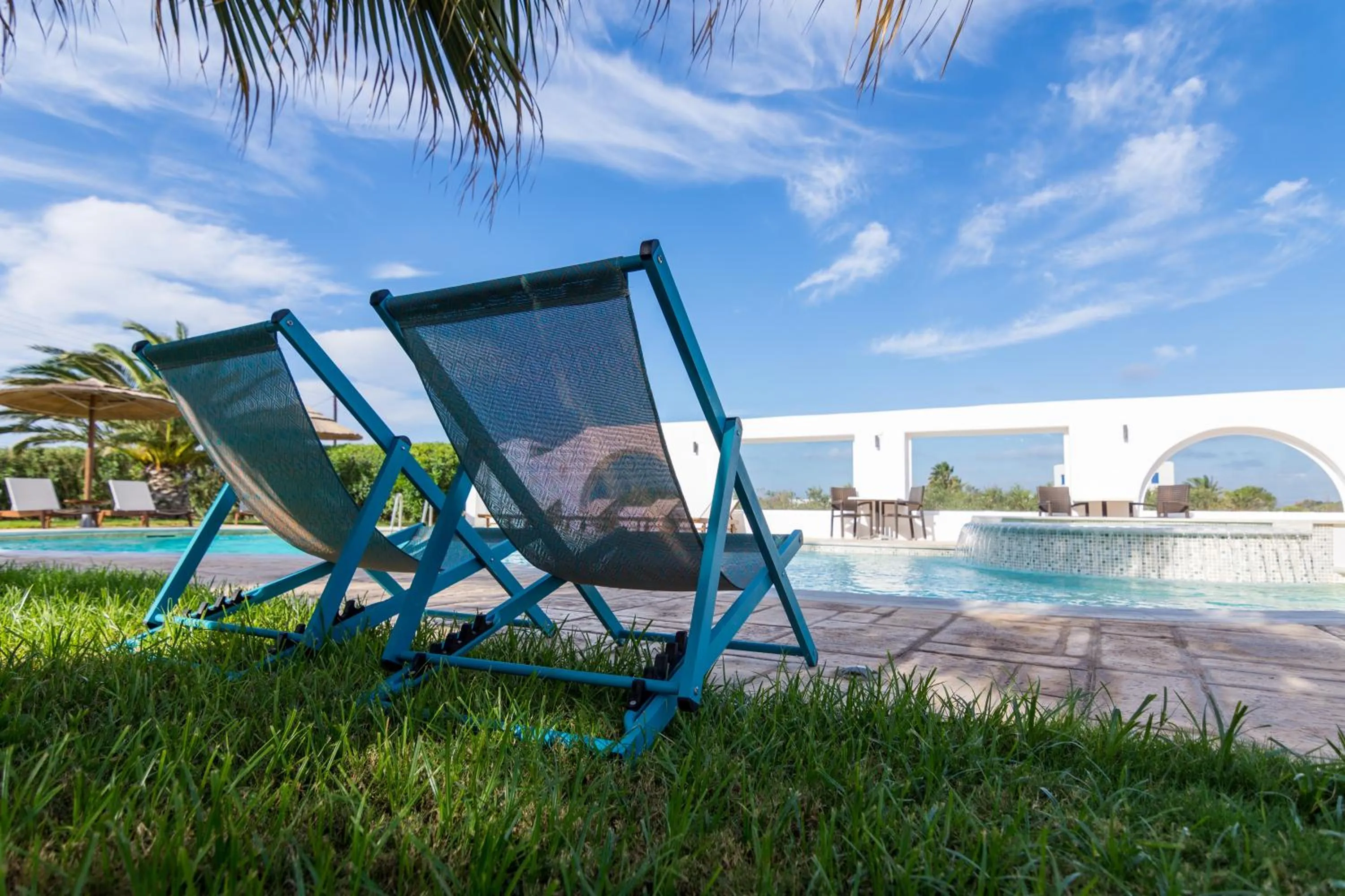 Garden in Dolphin Kastraki Studios