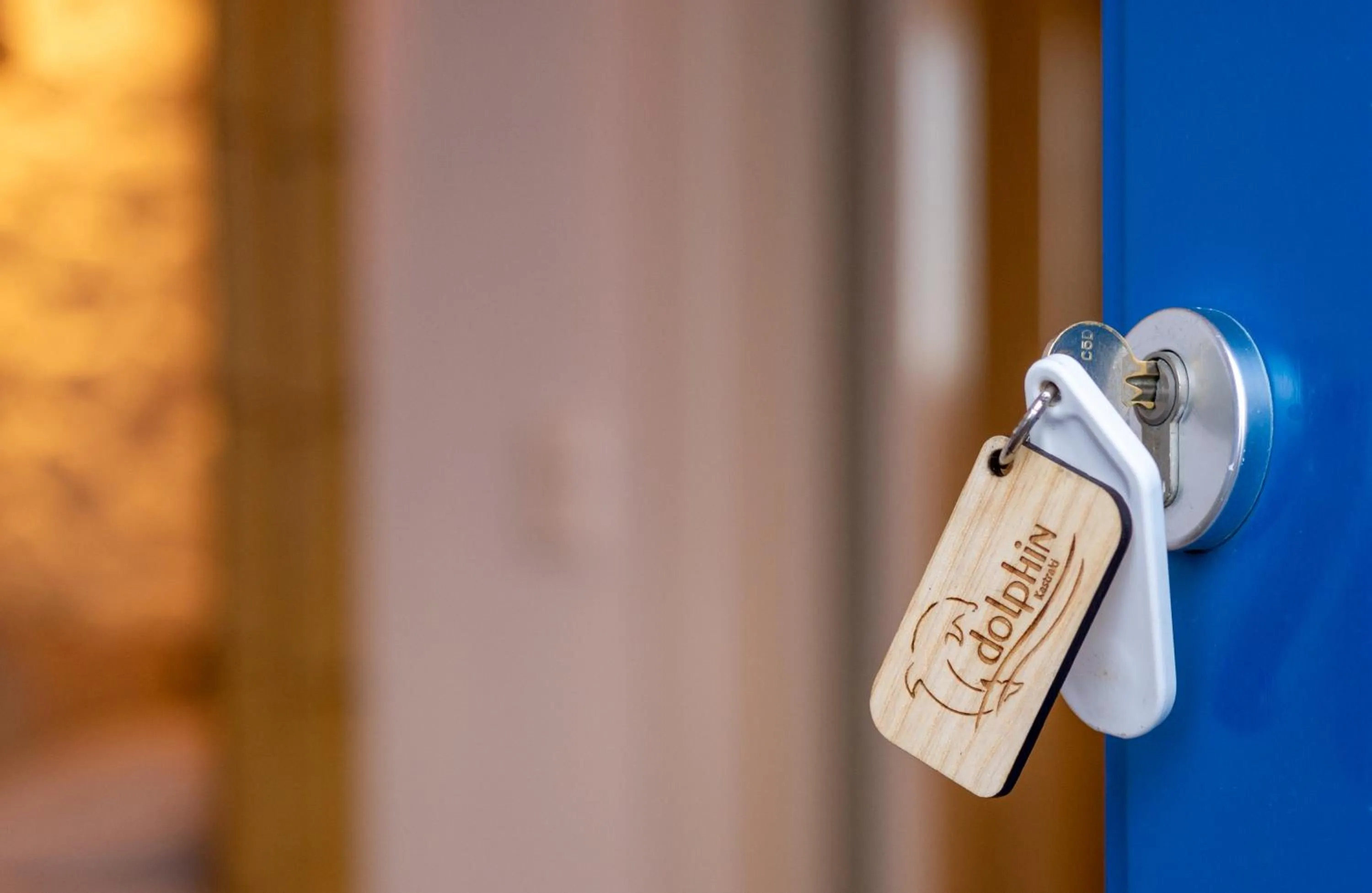 Photo of the whole room in Dolphin Kastraki Studios