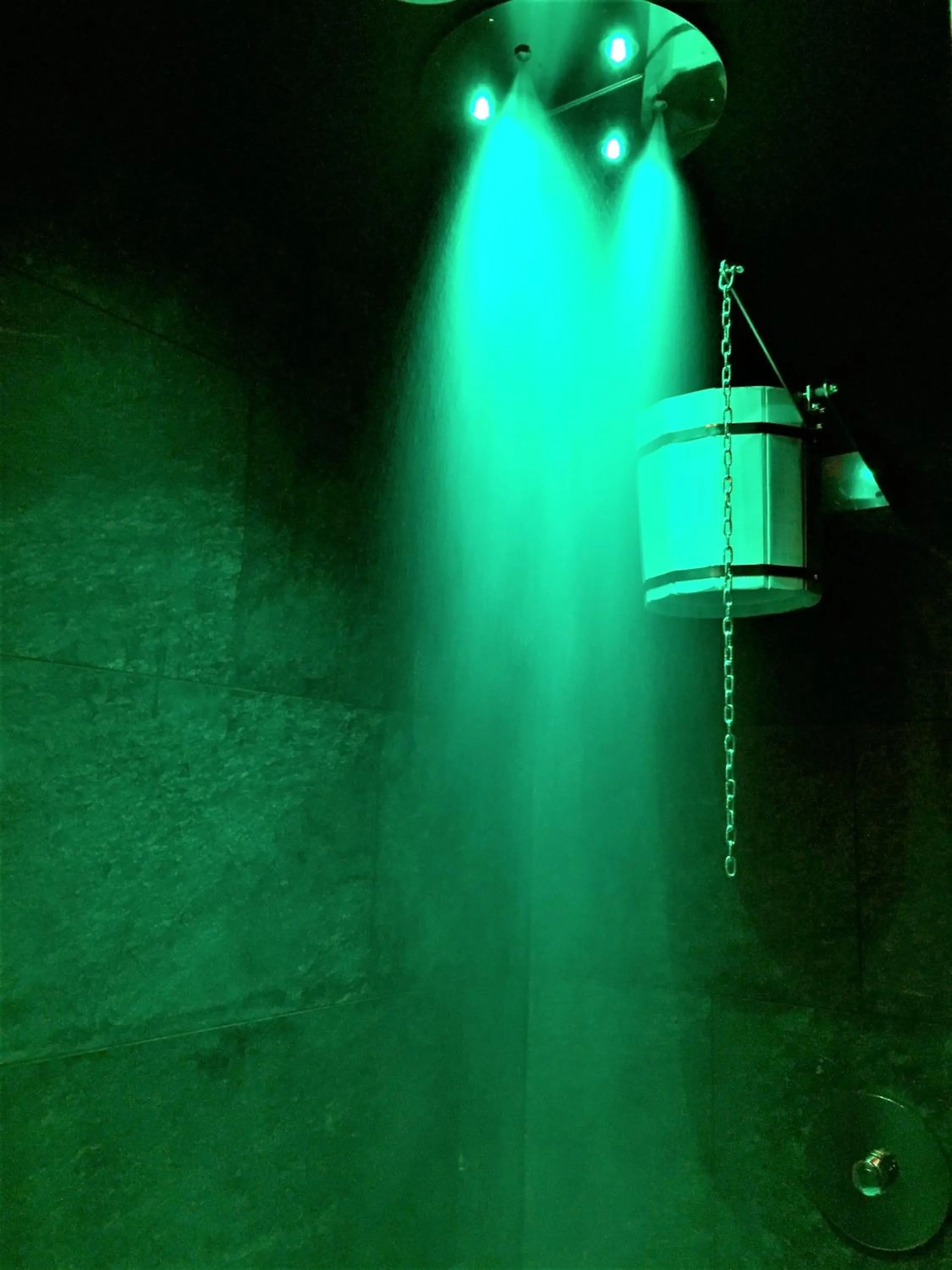 Spa and wellness centre/facilities in Residence Hotel Miralago