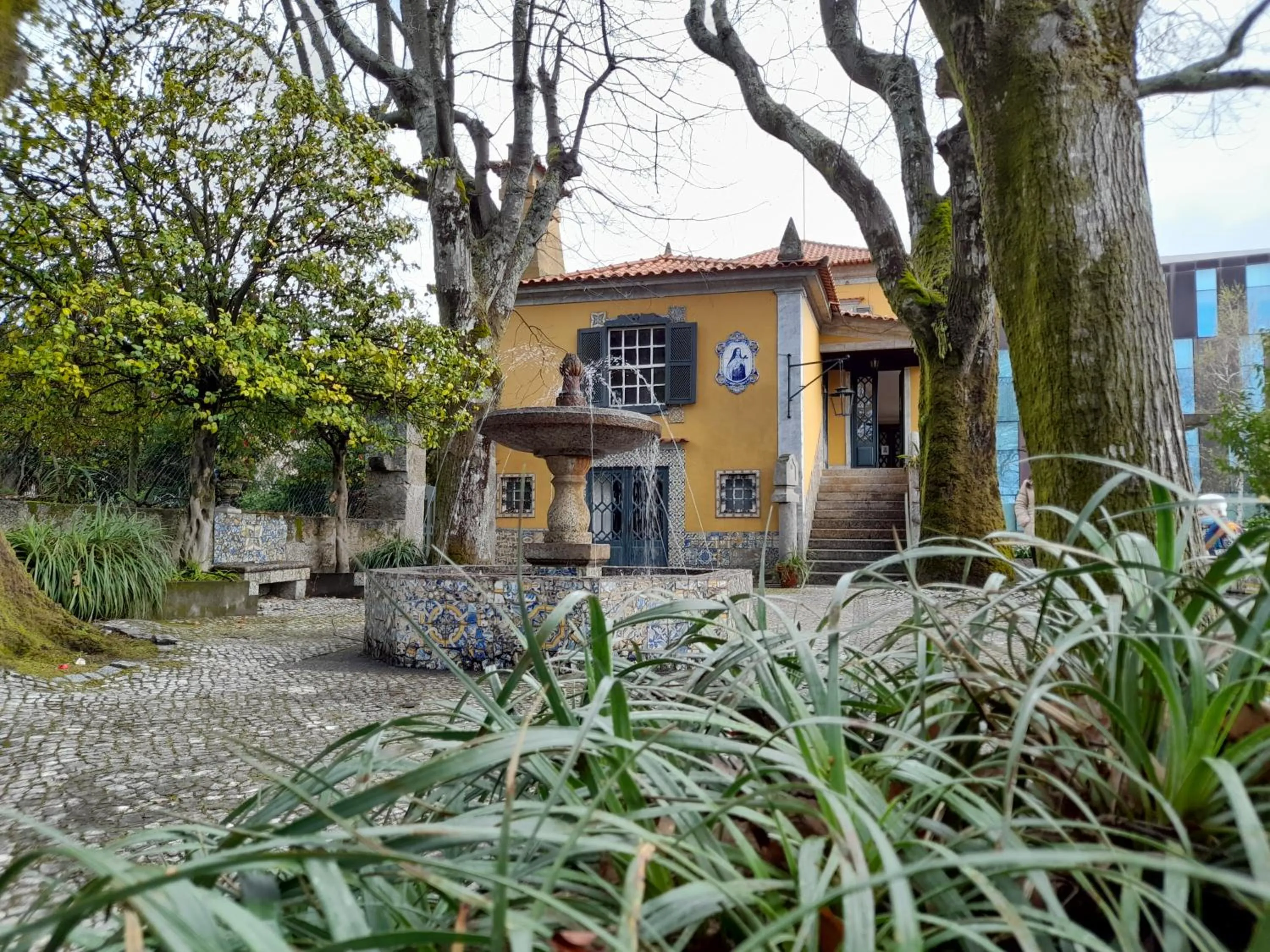 Property building in Camelia Rooms