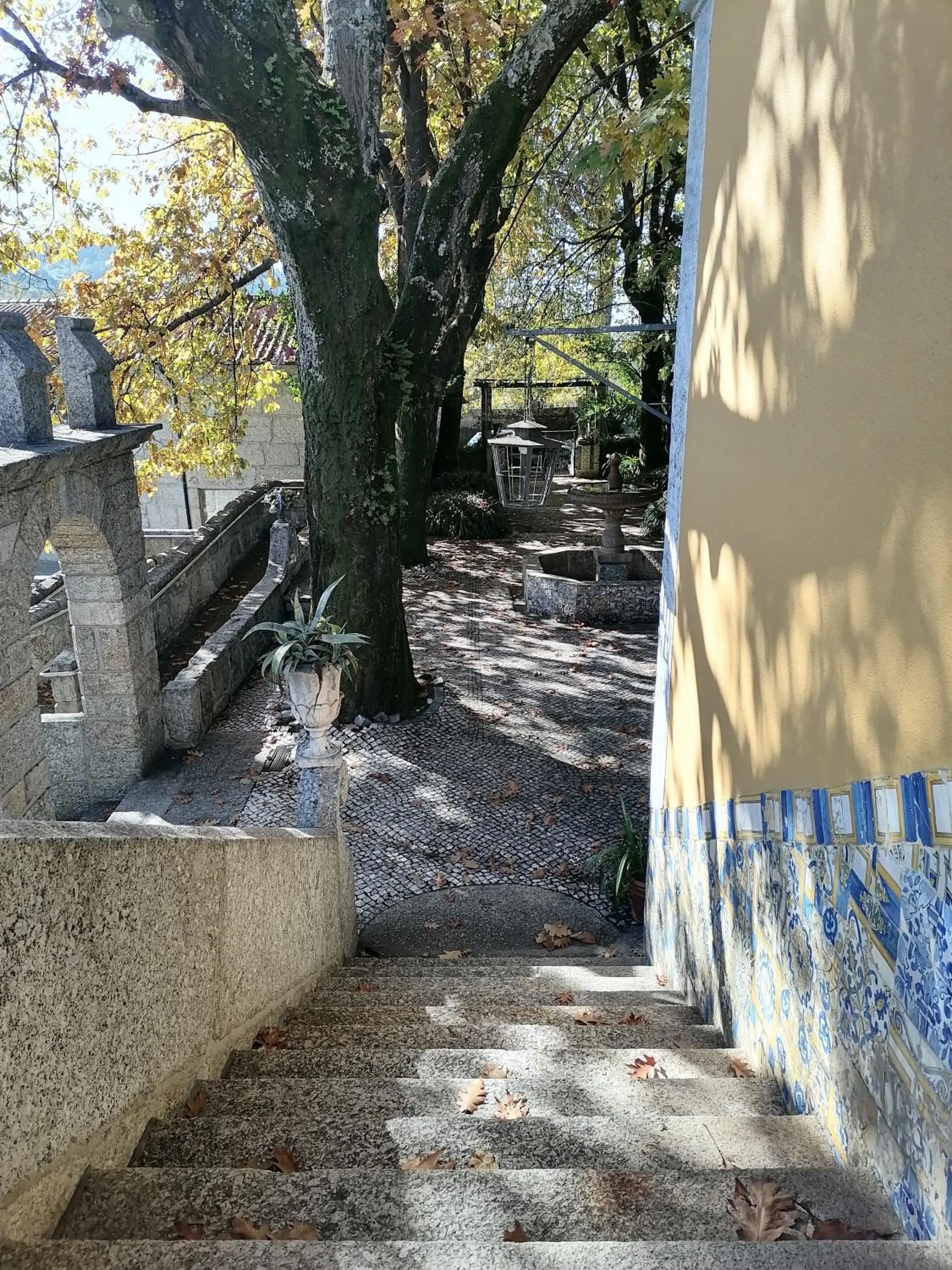 Facade/entrance in Camelia Rooms