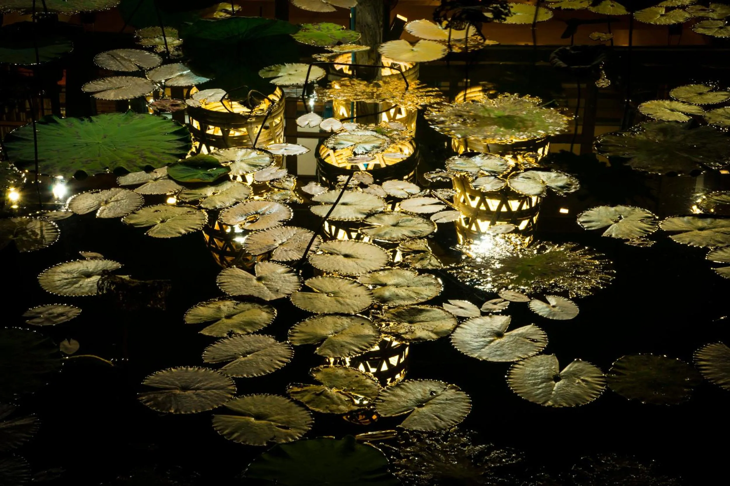 Natural landscape in Maisons Wat Kor