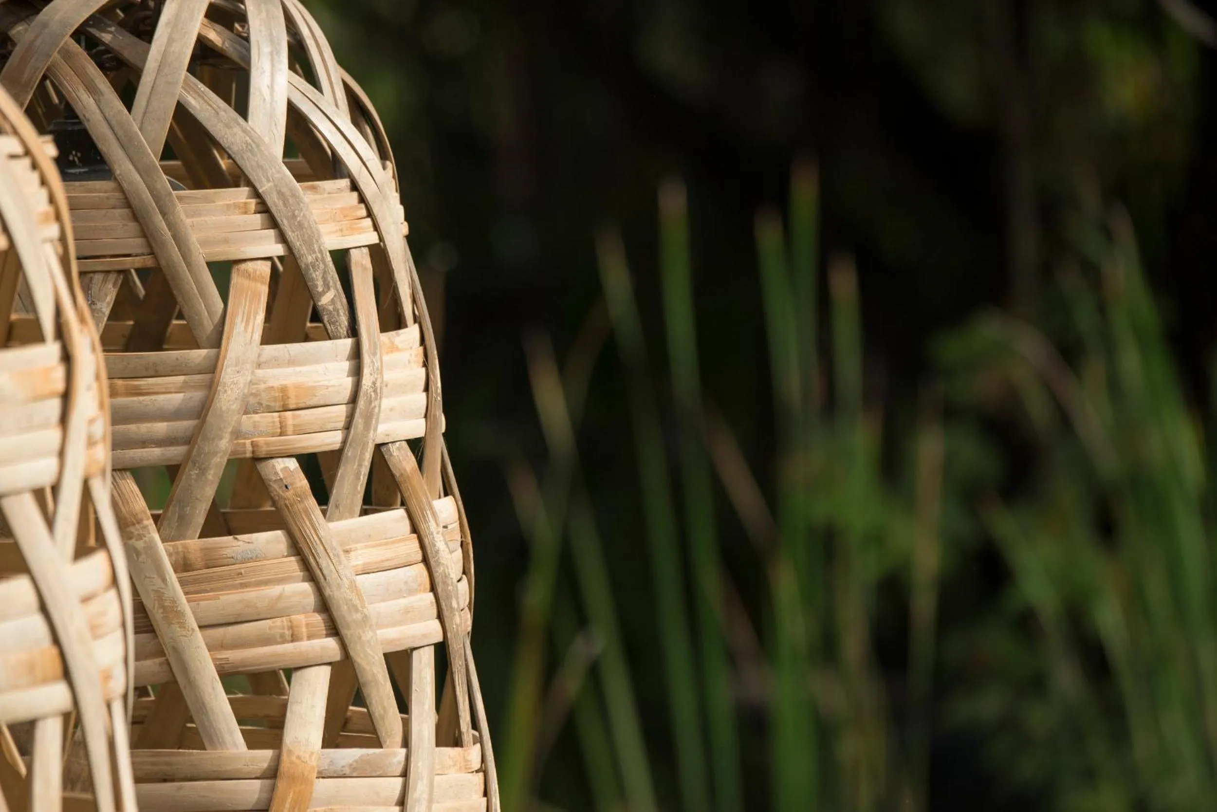 View (from property/room) in Maisons Wat Kor