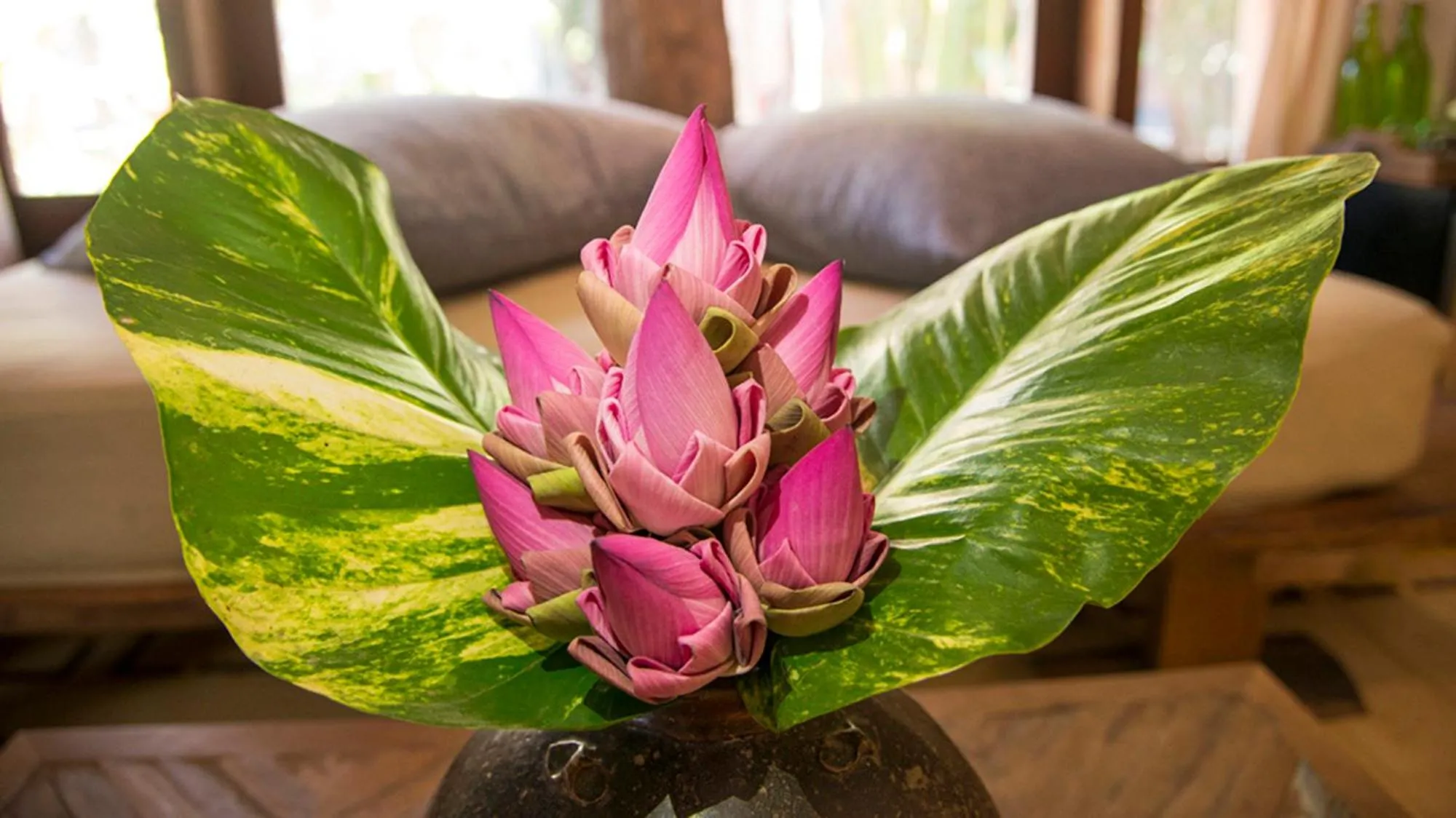 Decorative detail in Maisons Wat Kor