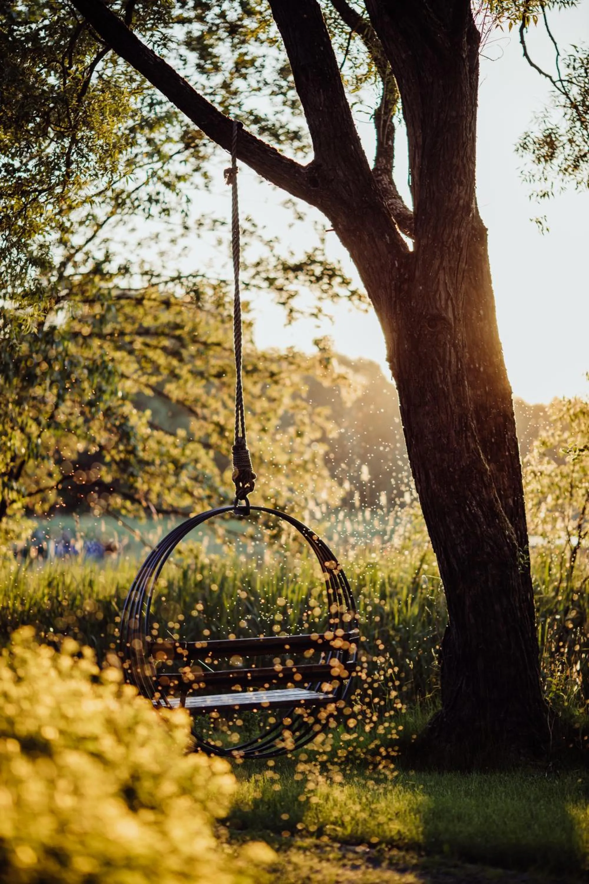 Garden in Pałac Warlity