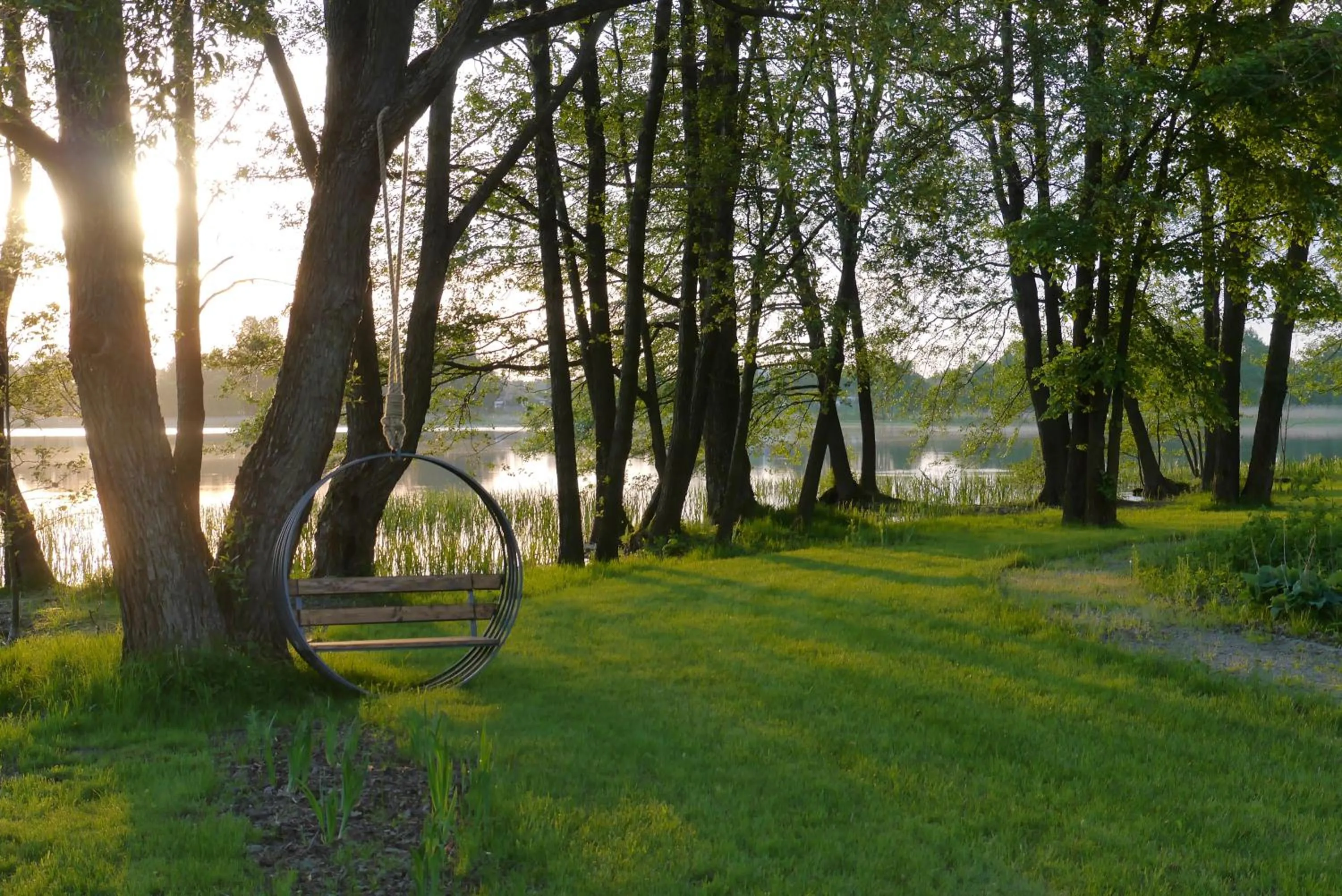Natural landscape in Pałac Warlity