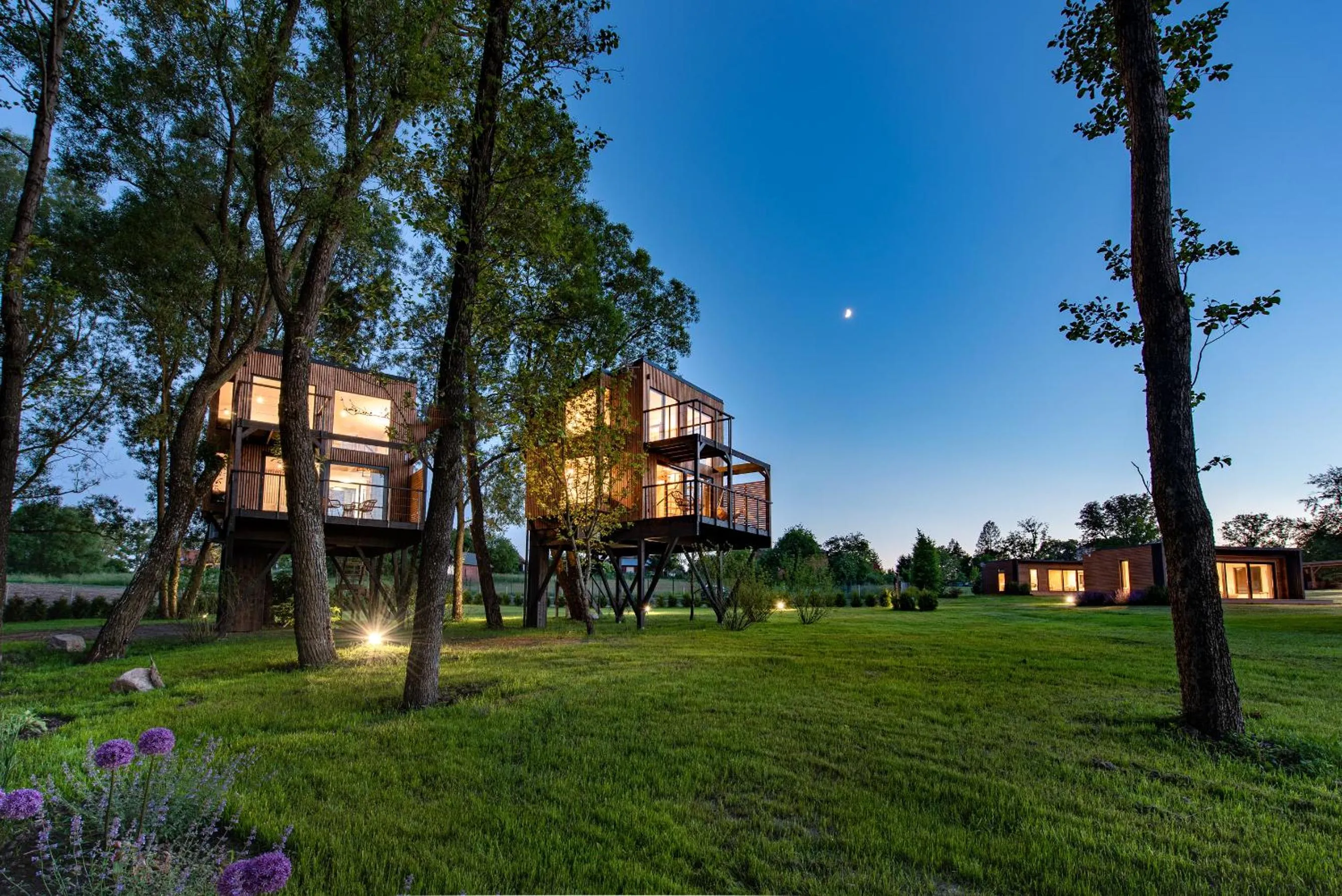 Garden in Pałac Warlity