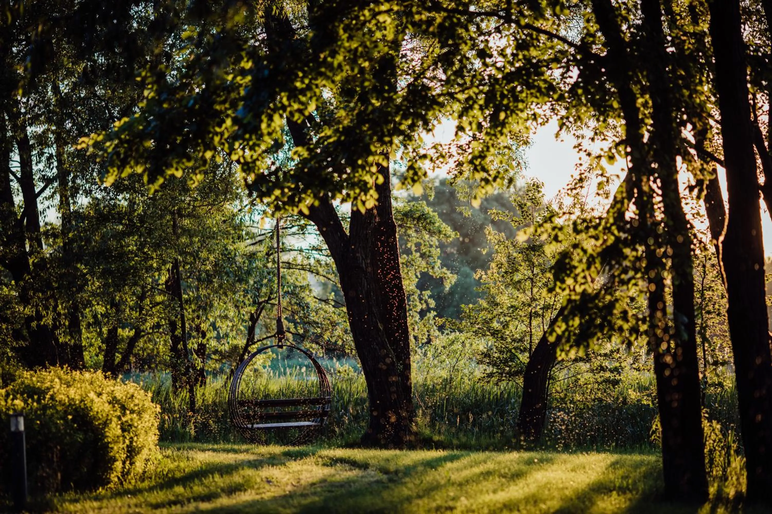 Garden in Pałac Warlity