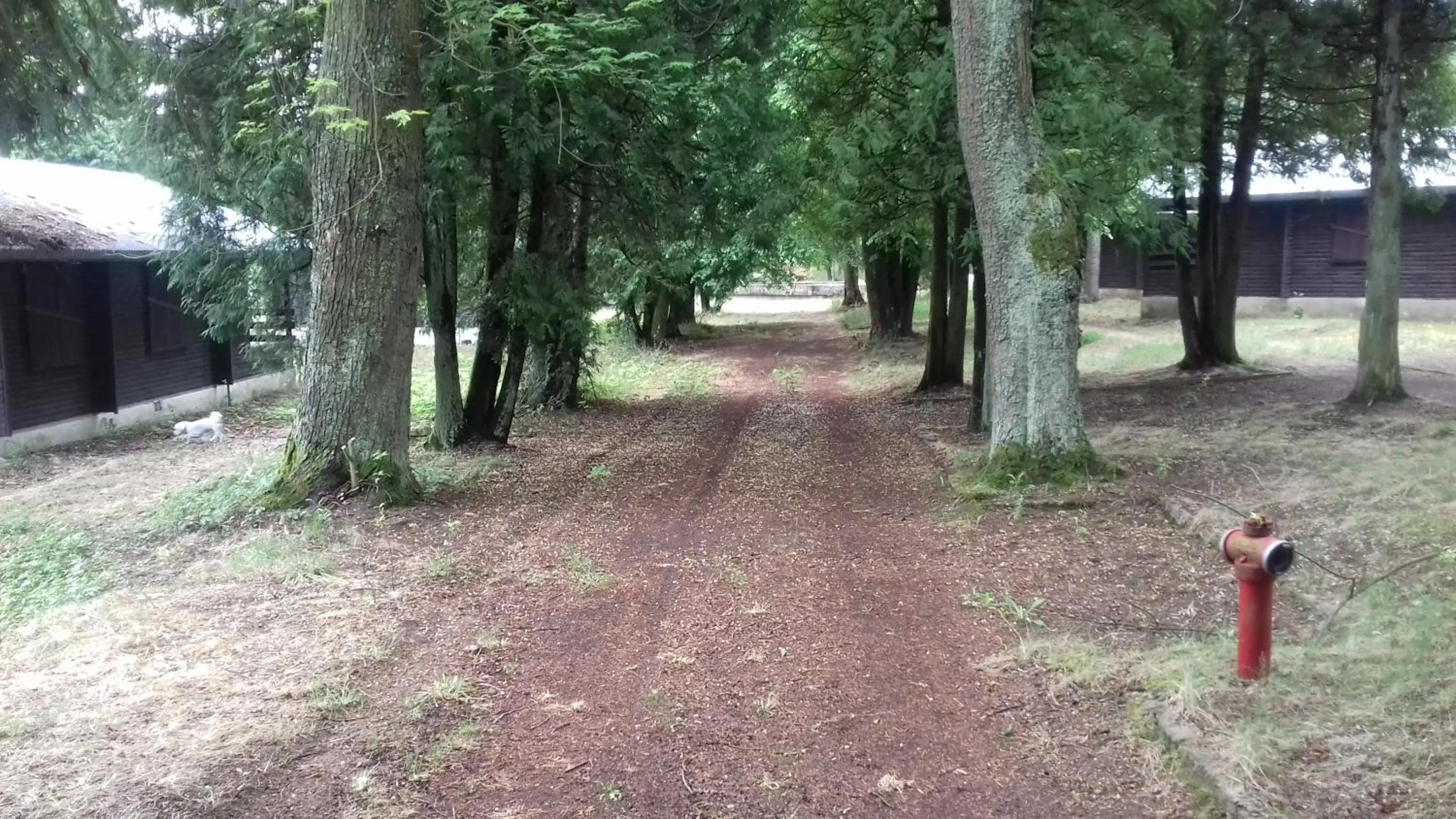 Property building in Stacja Wypoczynkowa Augustów