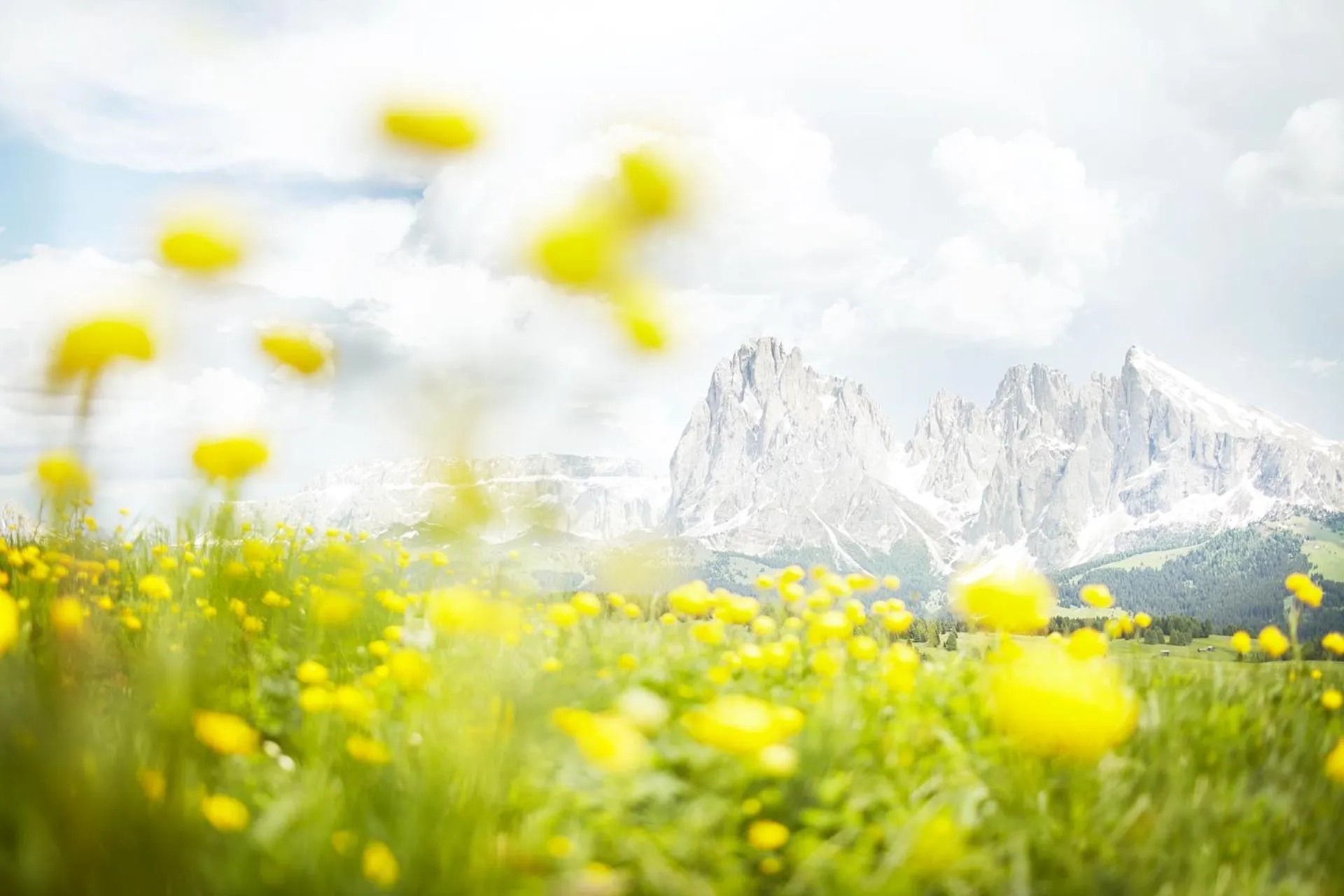 Mountain view in Residence Rumanon