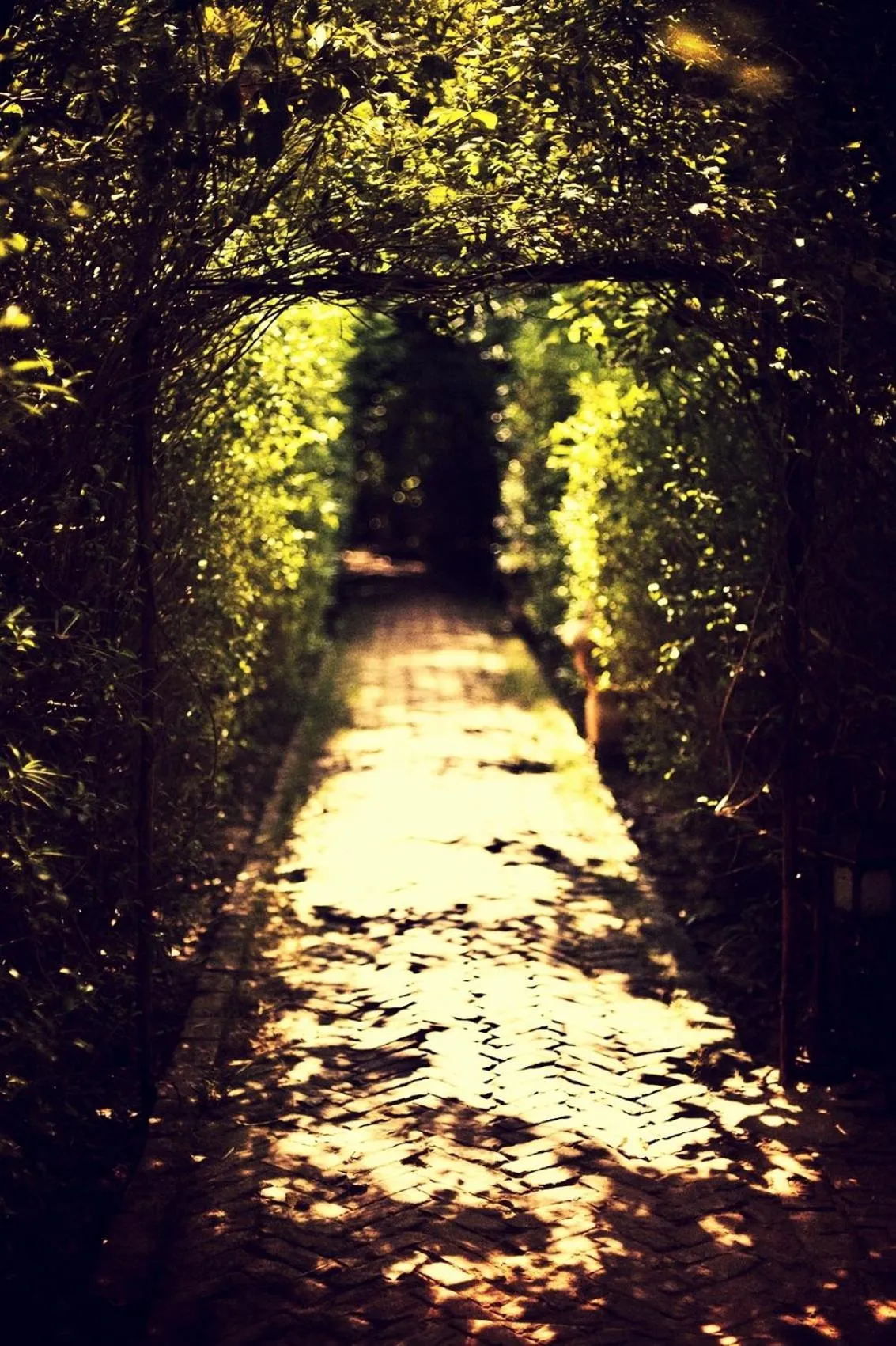 Other in The Tree House Resort, A Club Mahindra Associate