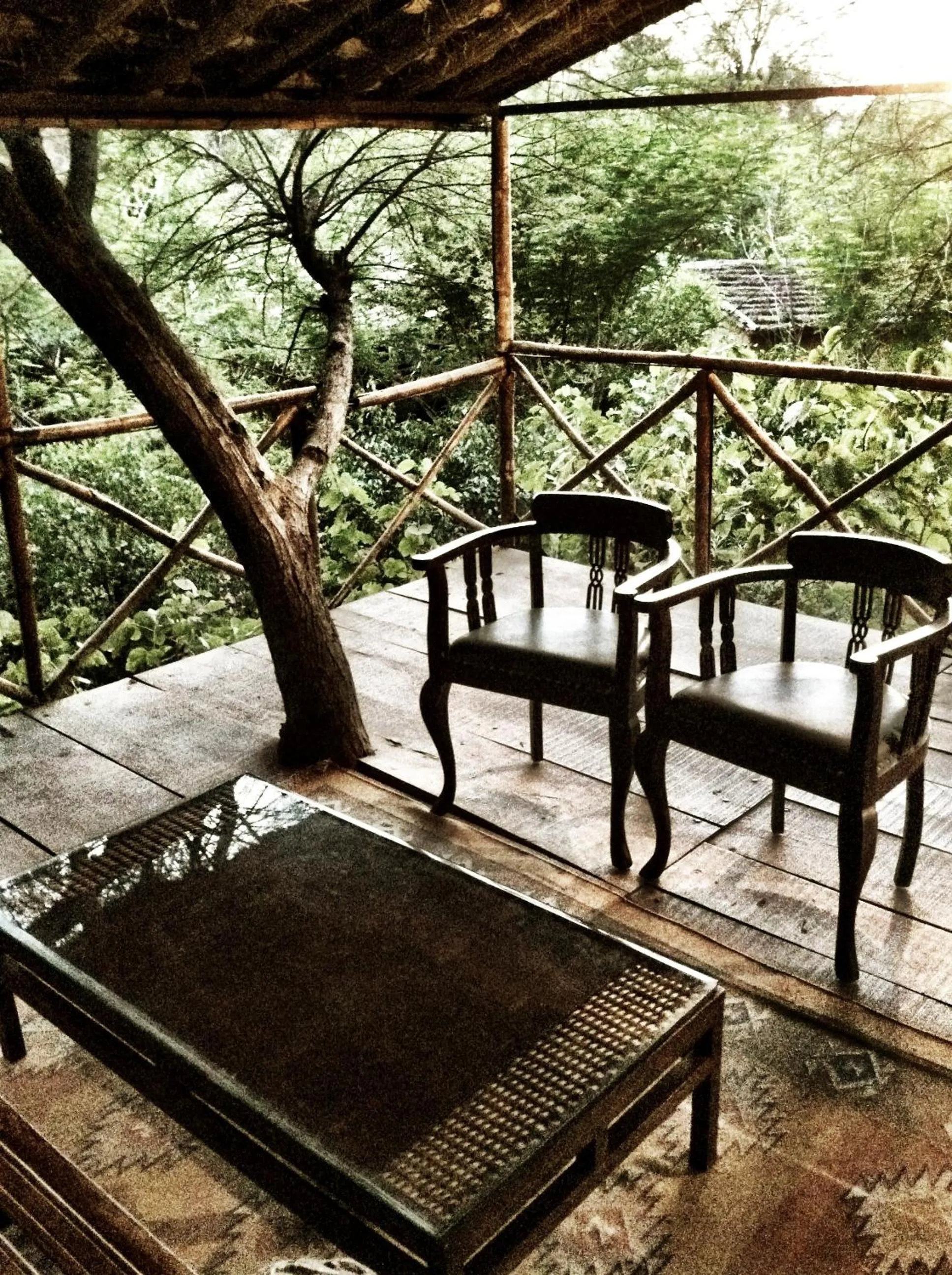 Day in The Tree House Resort, A Club Mahindra Associate