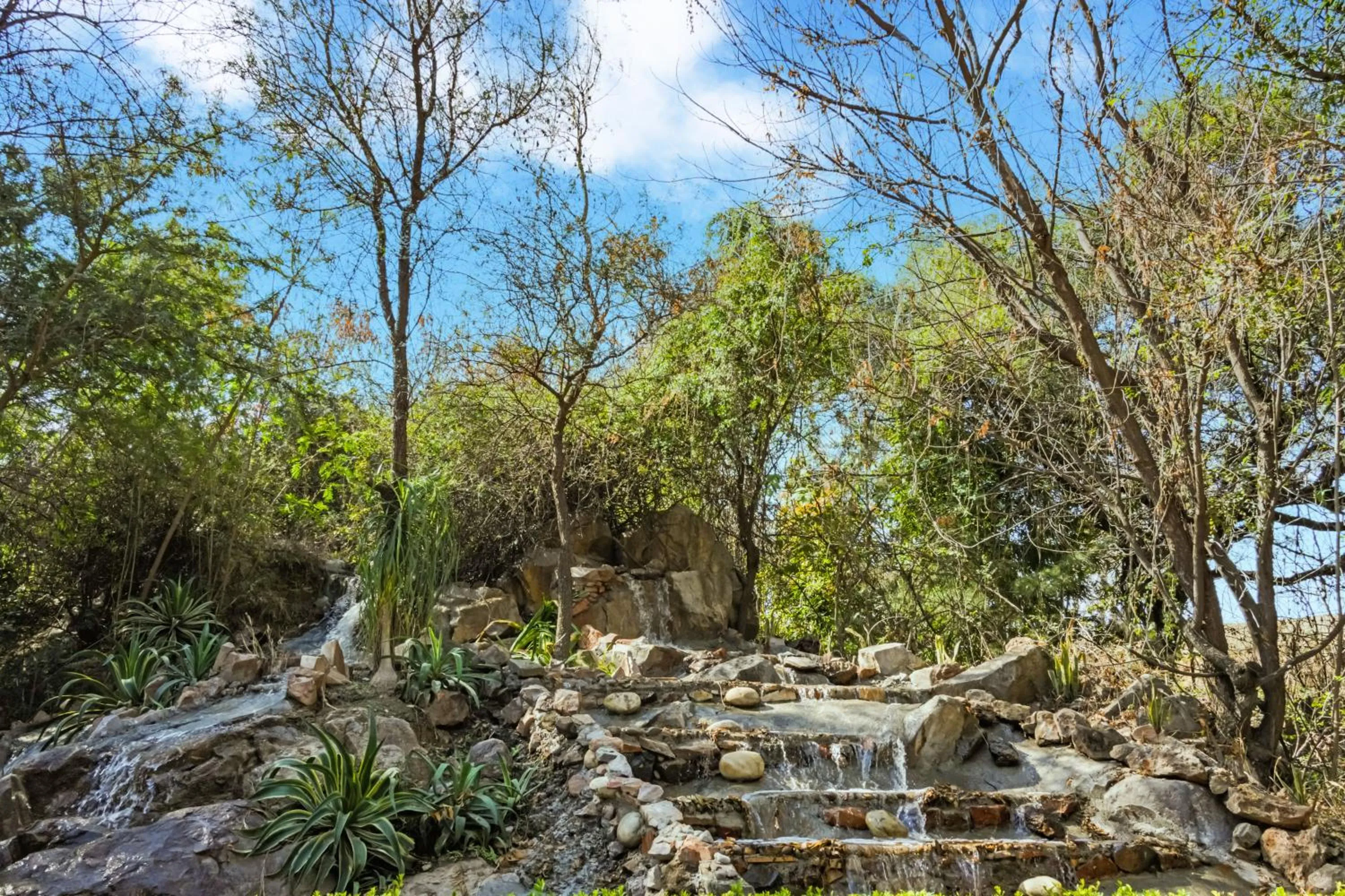 Day in The Tree House Resort, A Club Mahindra Associate