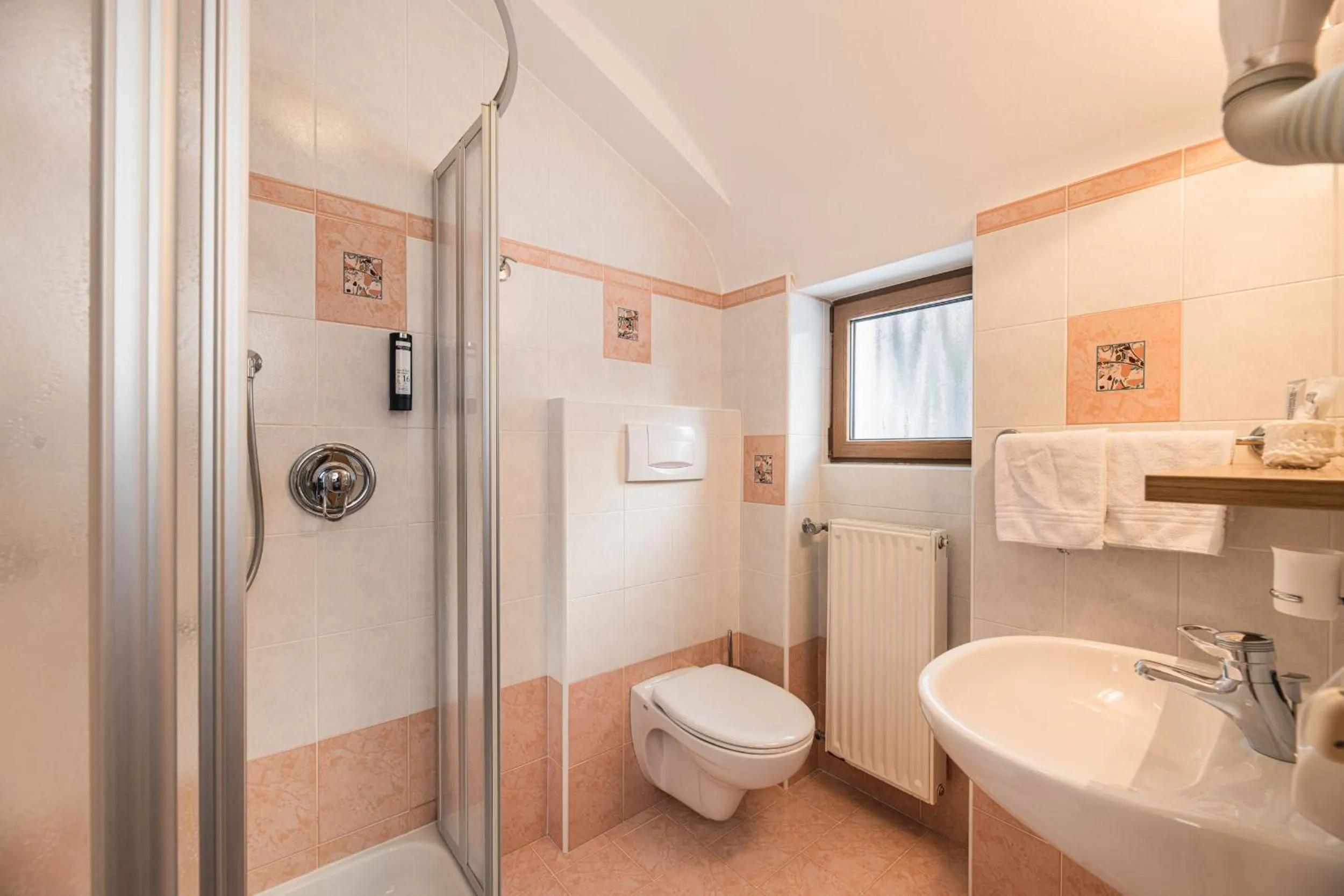 Shower in Hotel Wolf