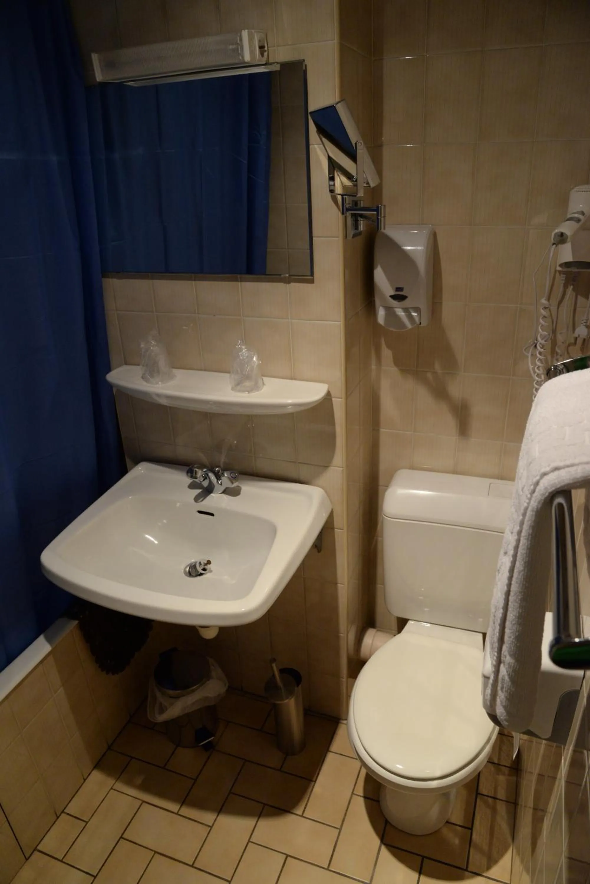 Hôtel Acropolis - Lourdes