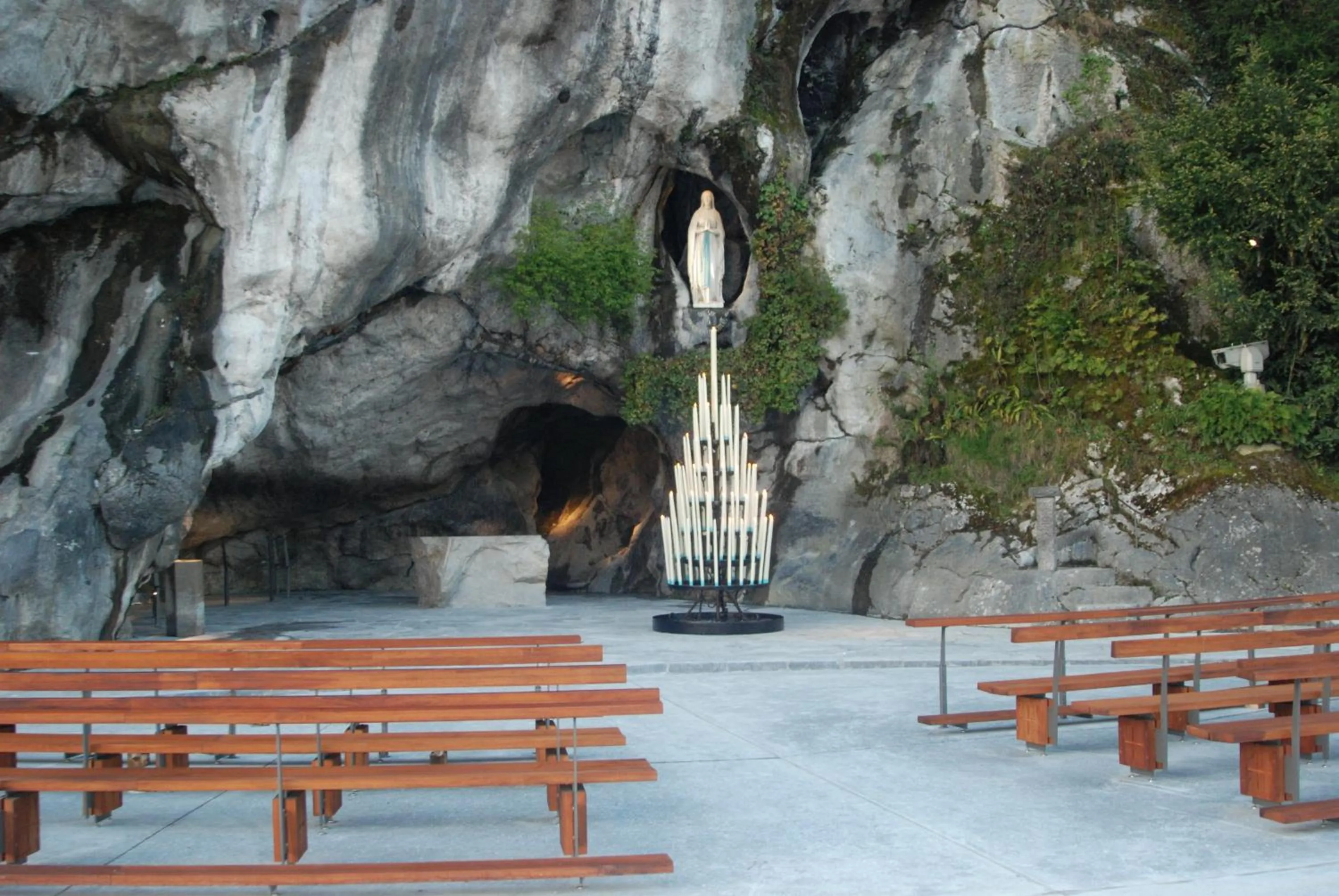 Area and facilities in Hôtel Acropolis - Lourdes