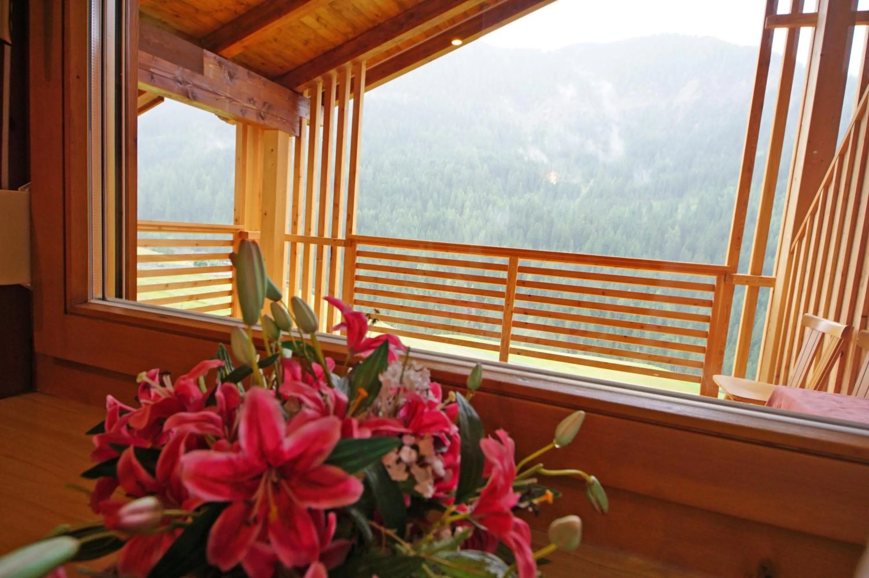 Mountain view in La Palsa