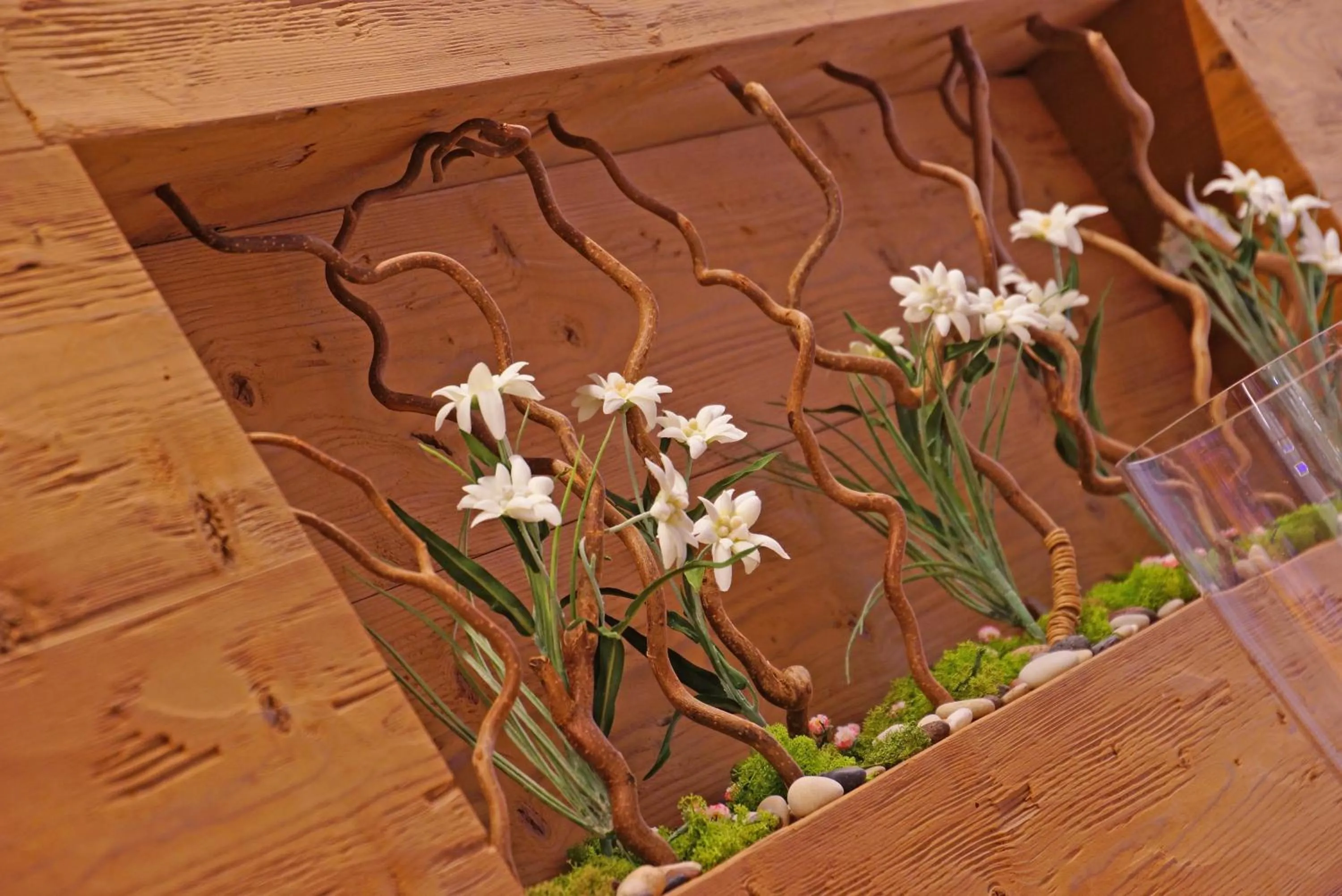 Spa and wellness centre/facilities in La Palsa