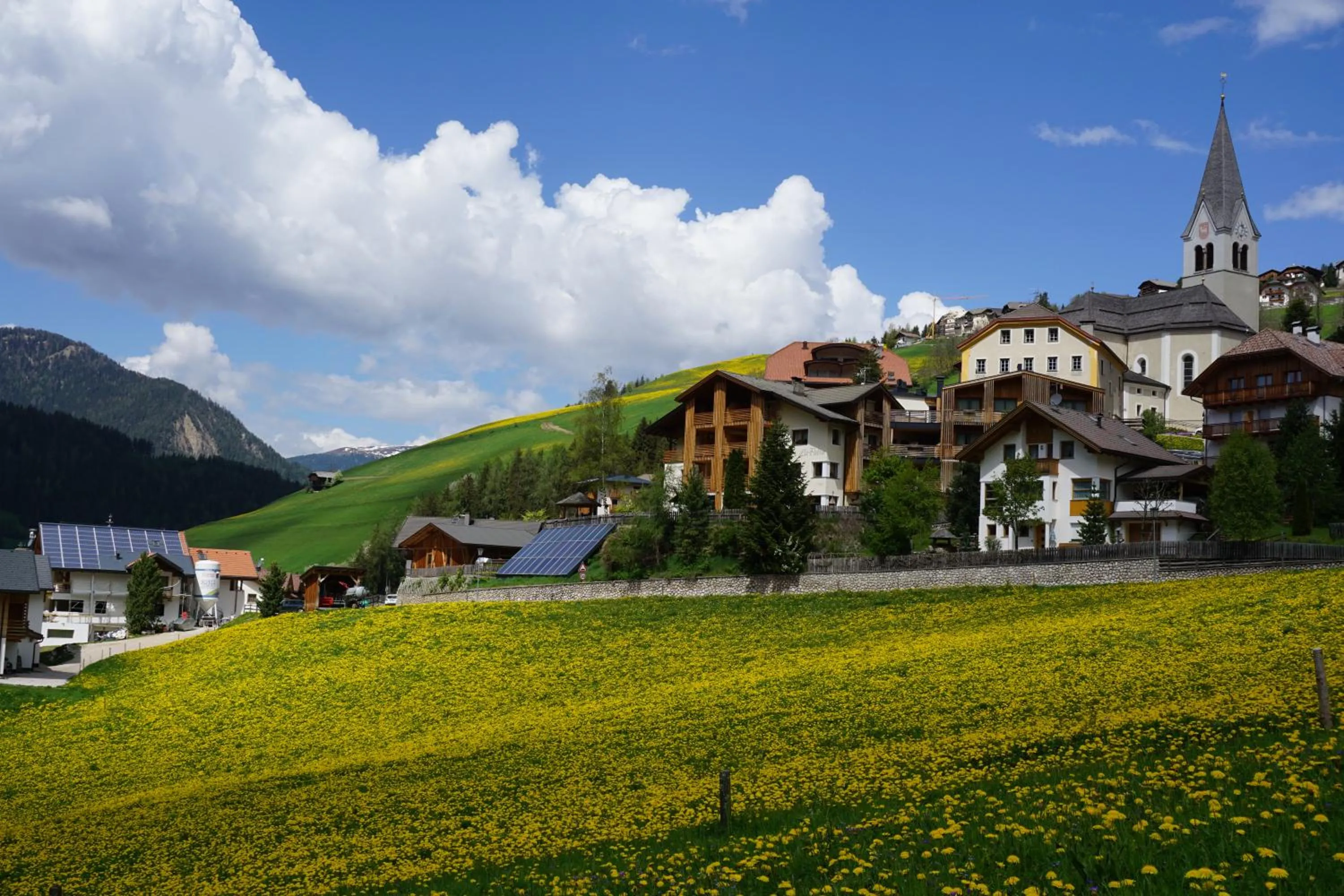 City view in La Palsa