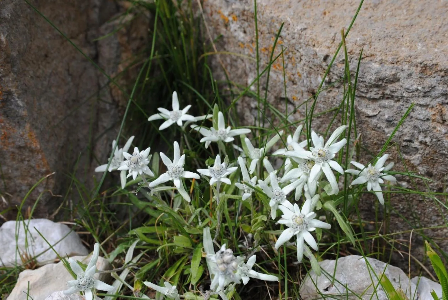 Natural landscape in Garni la Bercia