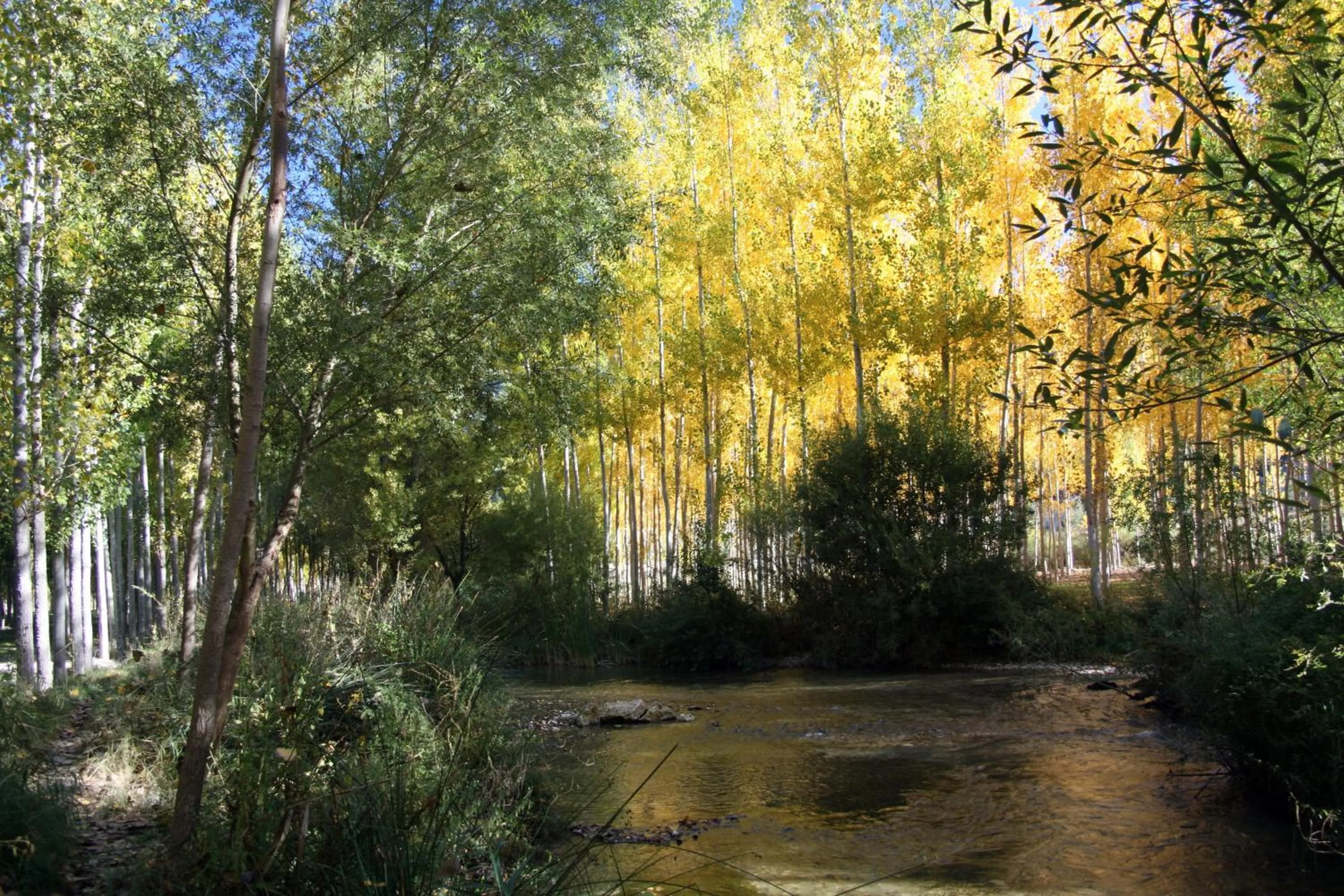 Hotel Ciudad Pozo Alcón