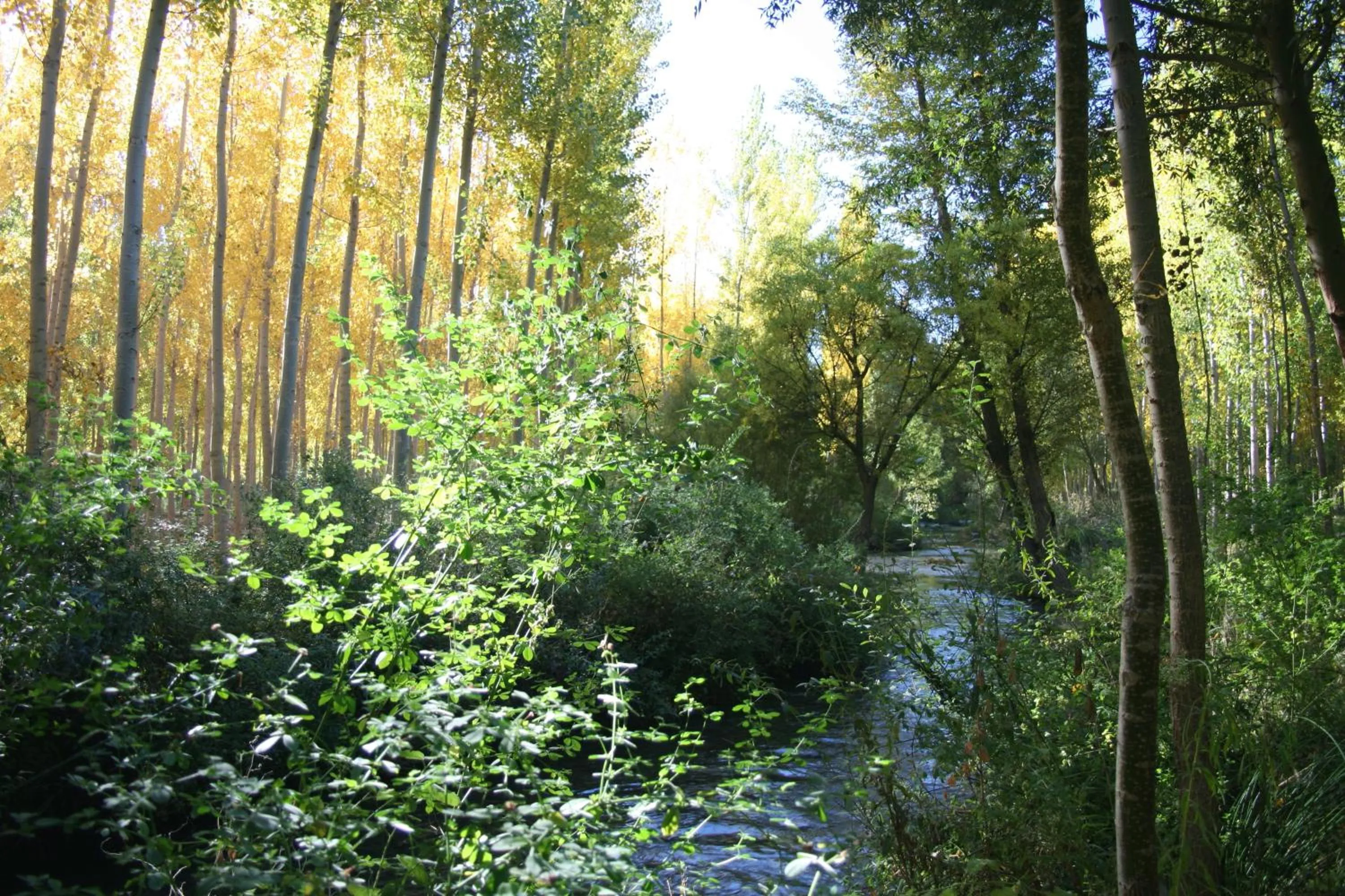 Hotel Ciudad Pozo Alcón