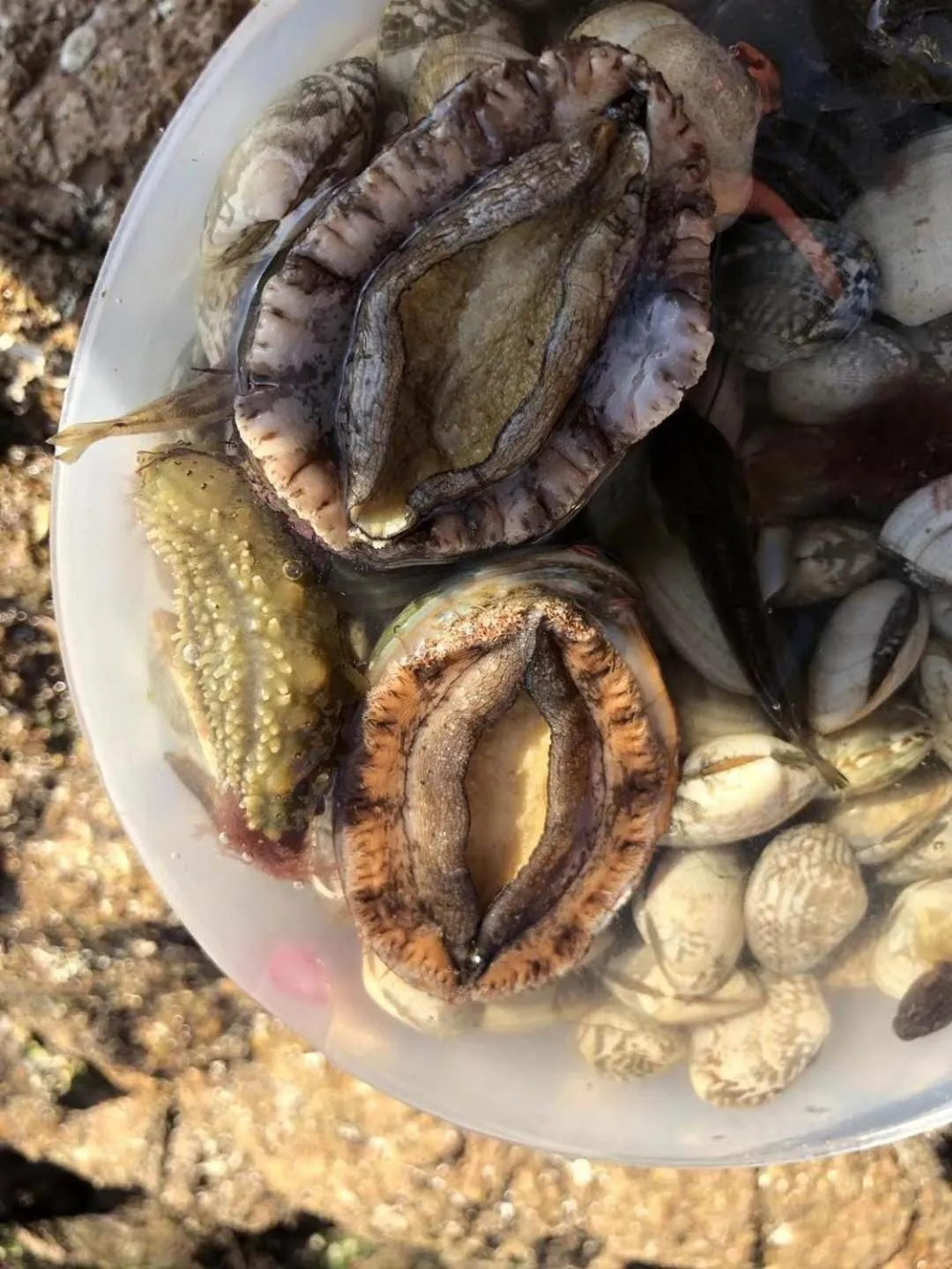 Beach in Nordic Memory in Qingdao