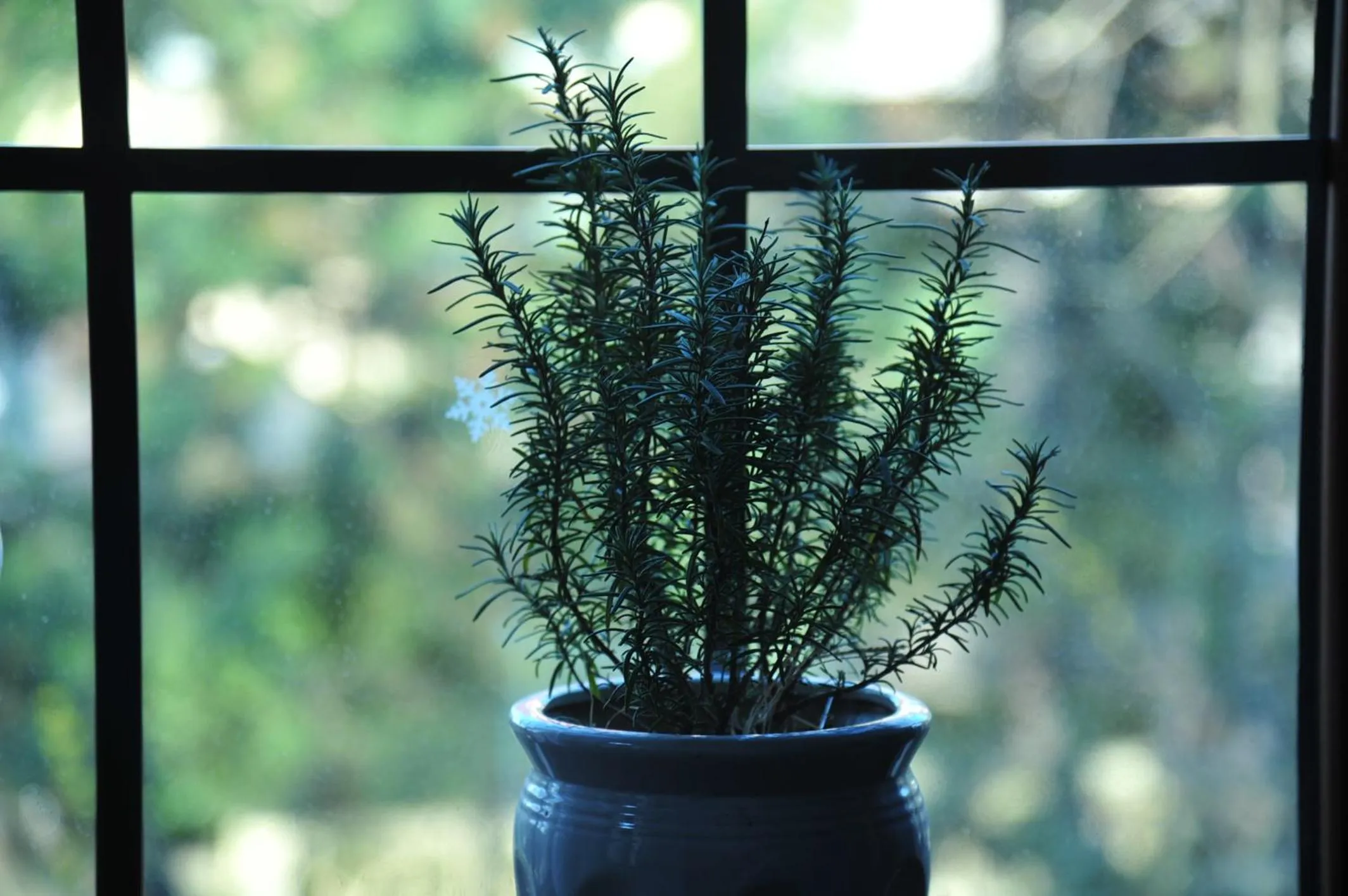 Nordic Memory in Qingdao