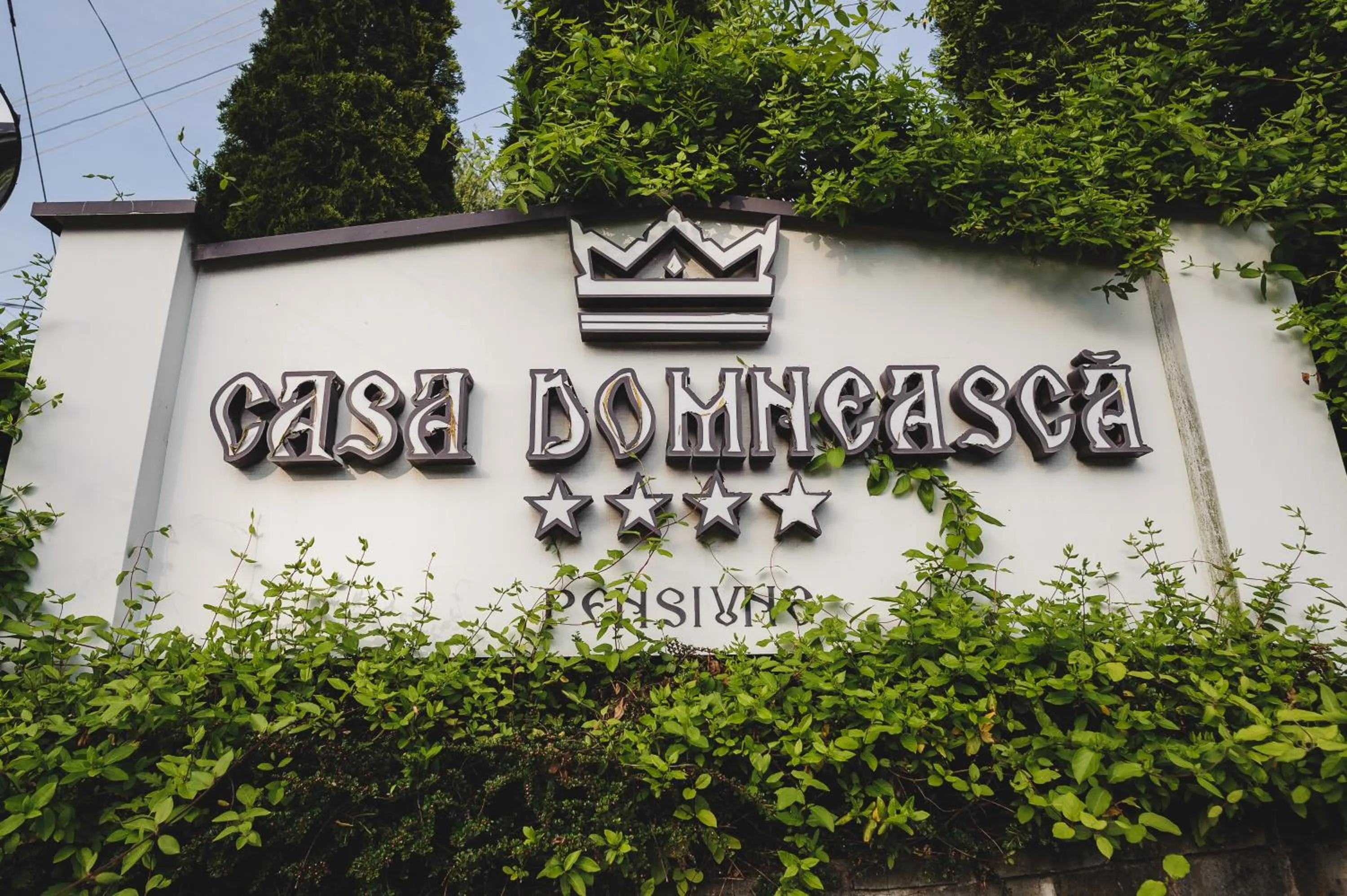Property logo or sign in Casa Domneasca