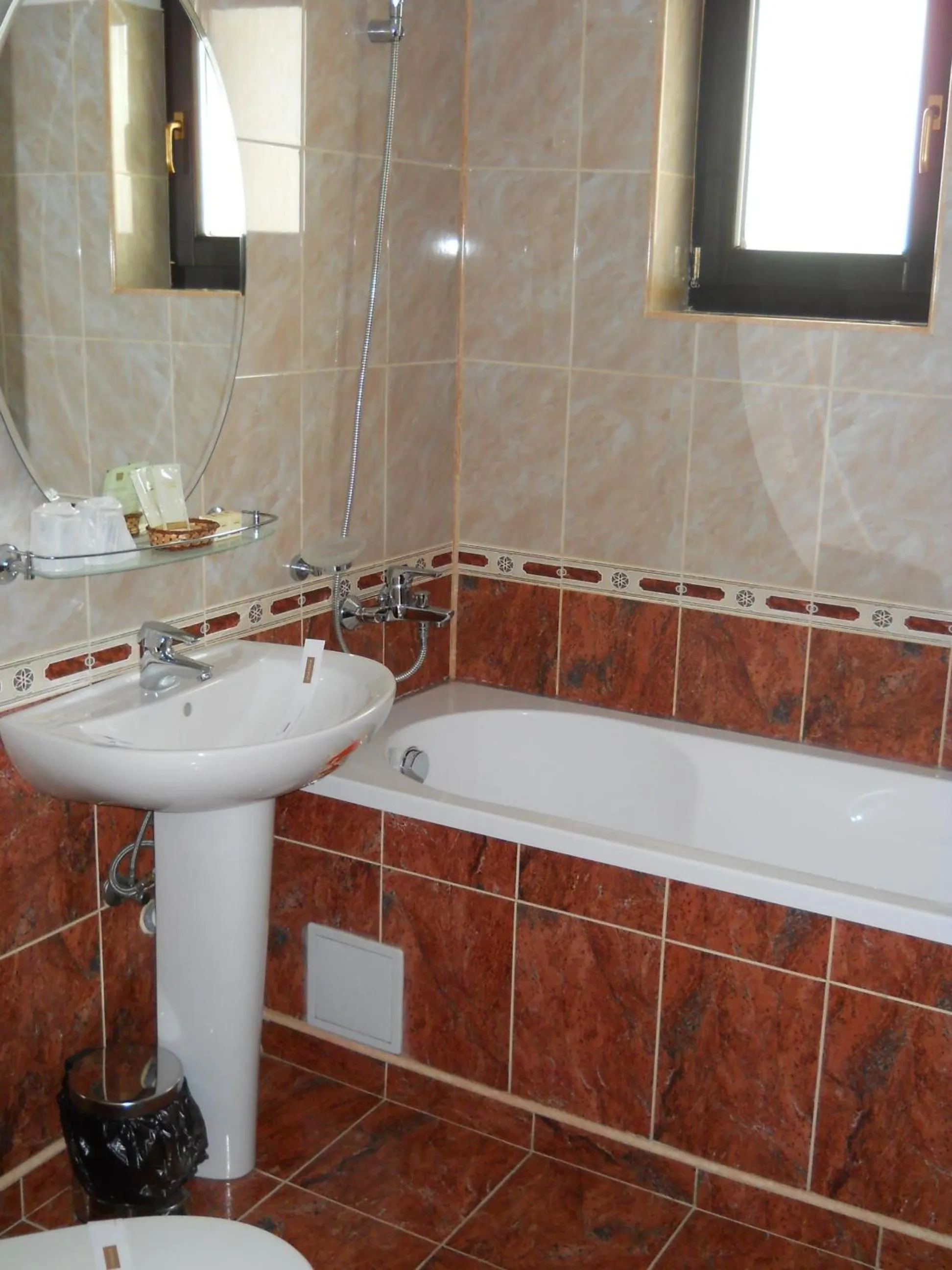 Bathroom in Casa Domneasca