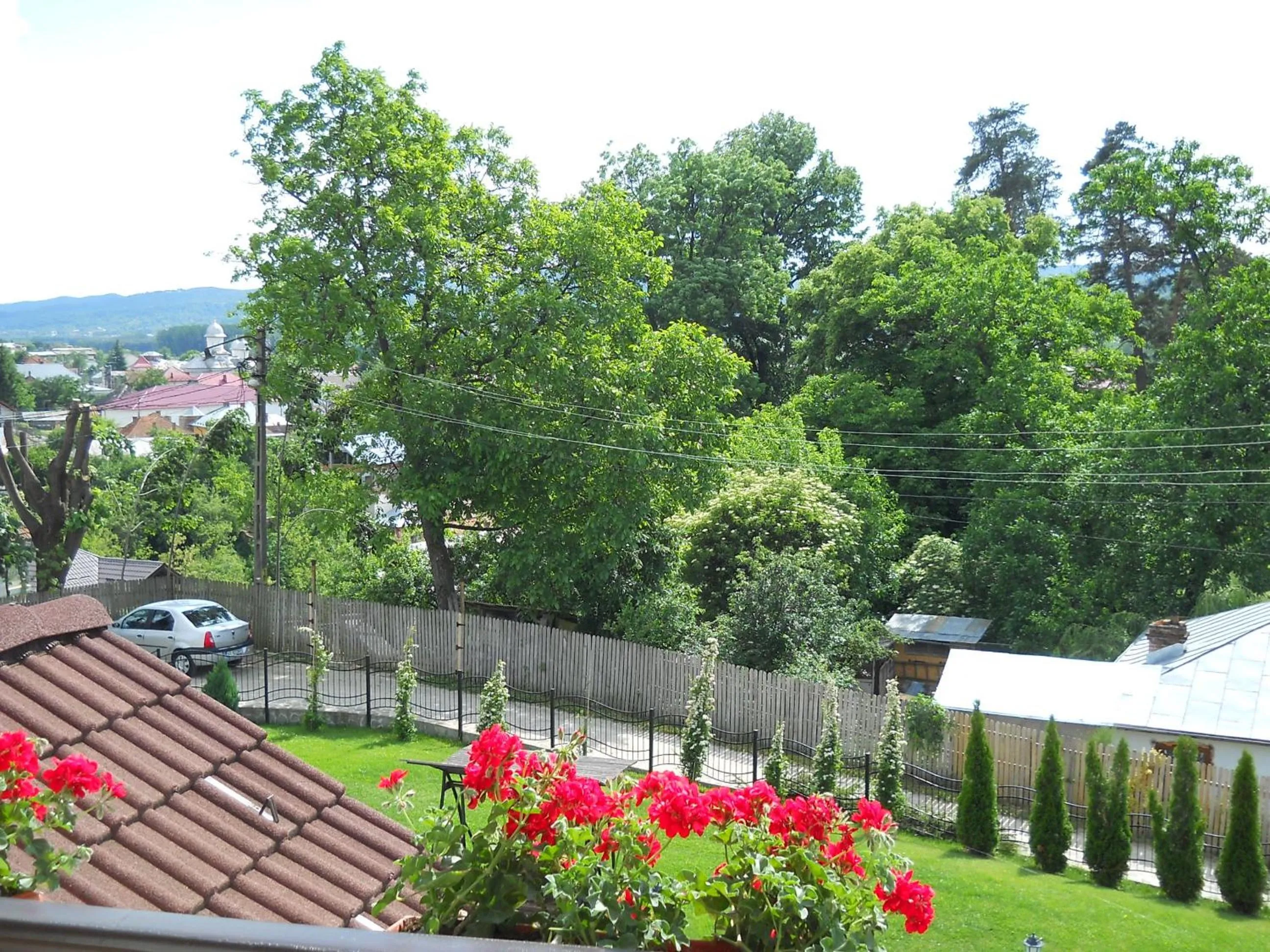 Day in Casa Domneasca