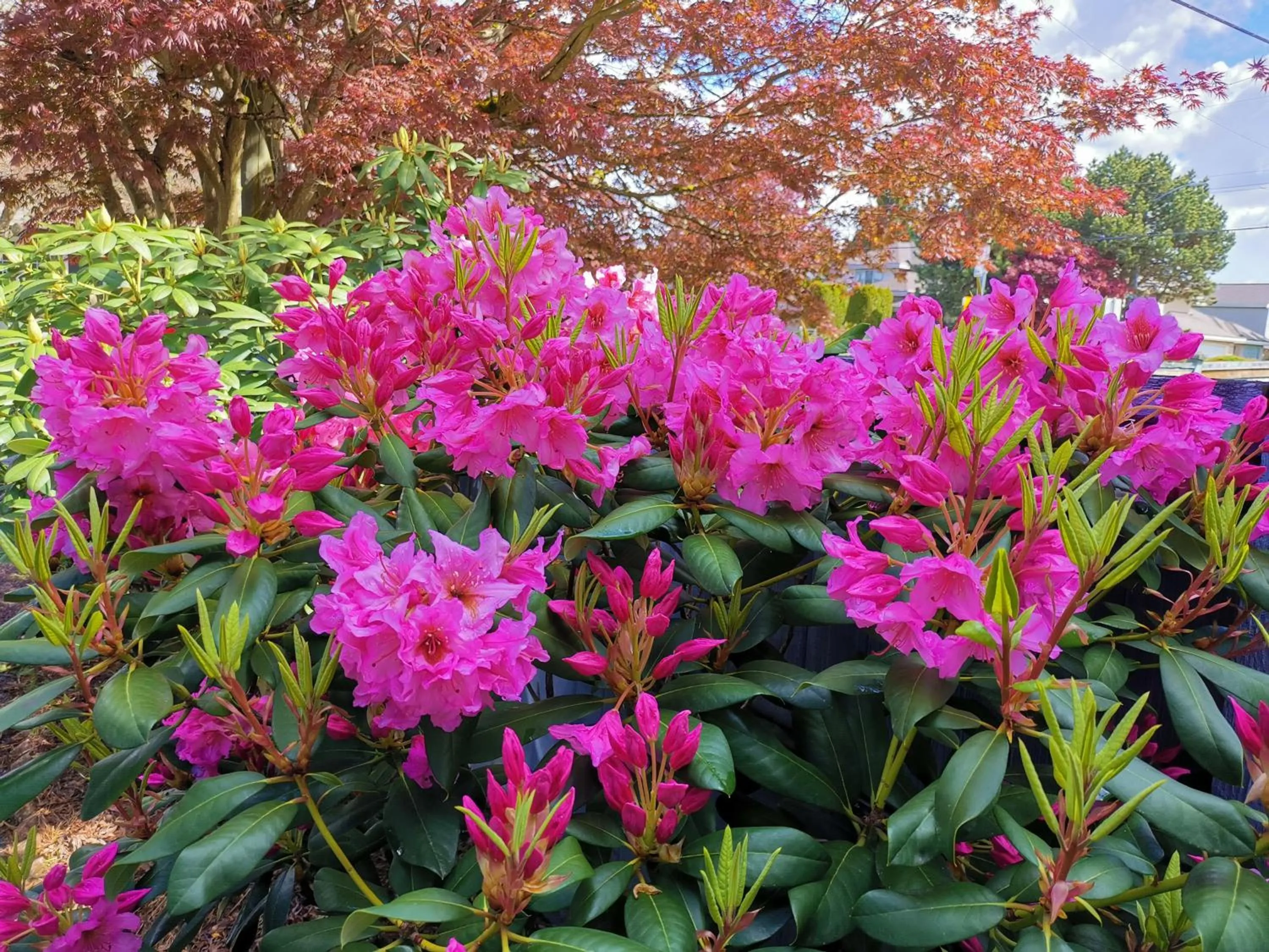 Property building in Bed Plus YVR