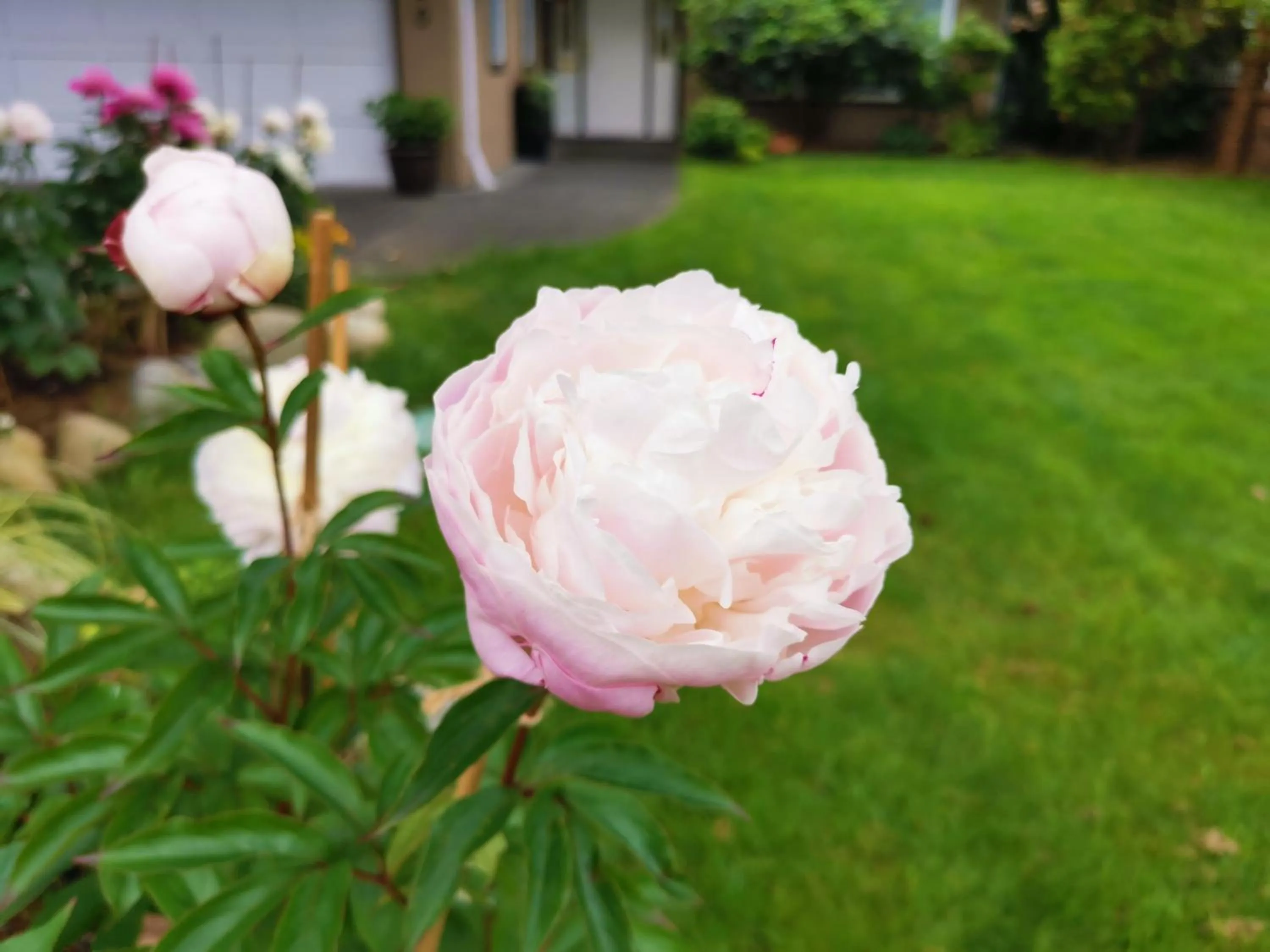 Property building in Bed Plus YVR