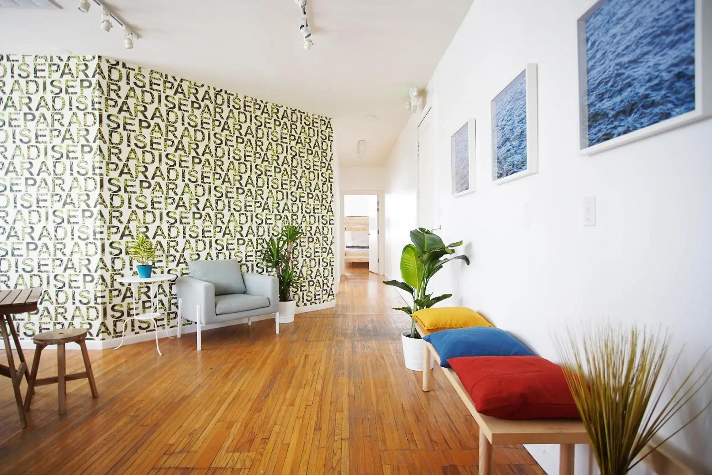 The Steady The Steady