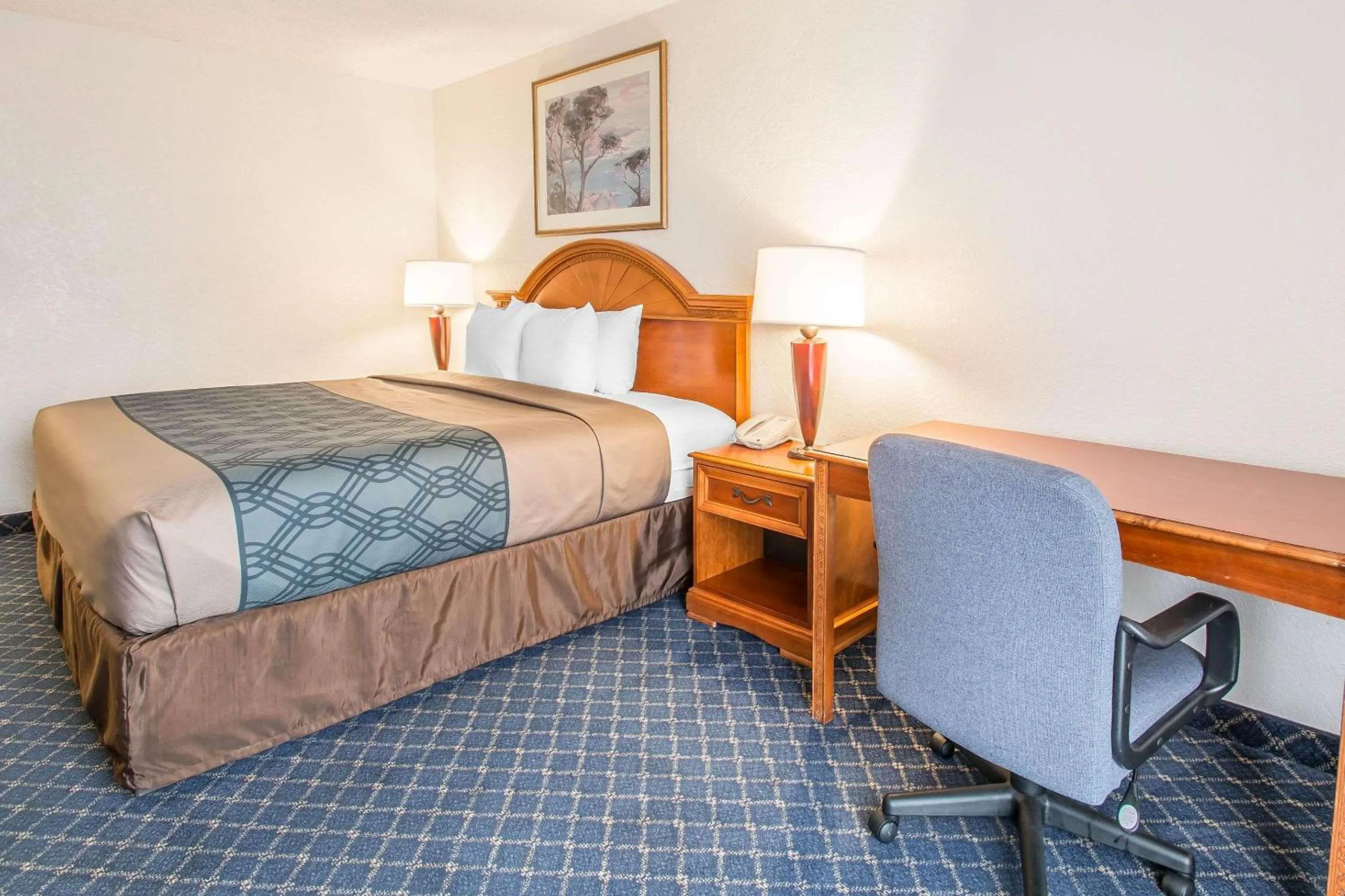 Photo of the whole room, Bed in North Miami Beach Gardens Inn & Suites