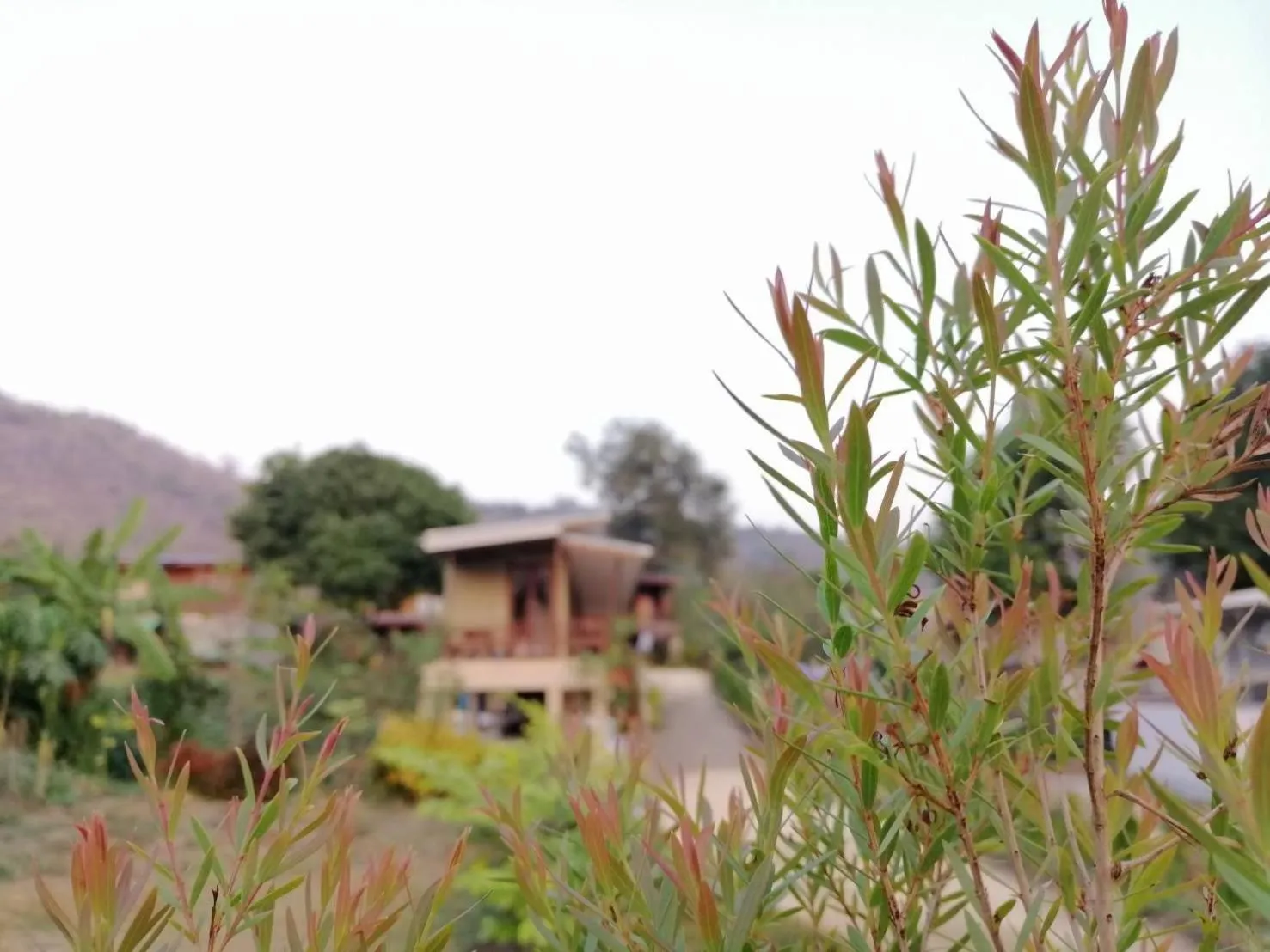 Wang Jai Kwang Space Inn