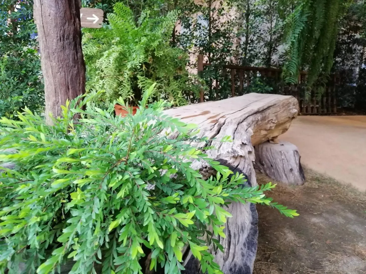 Wang Jai Kwang Space Inn