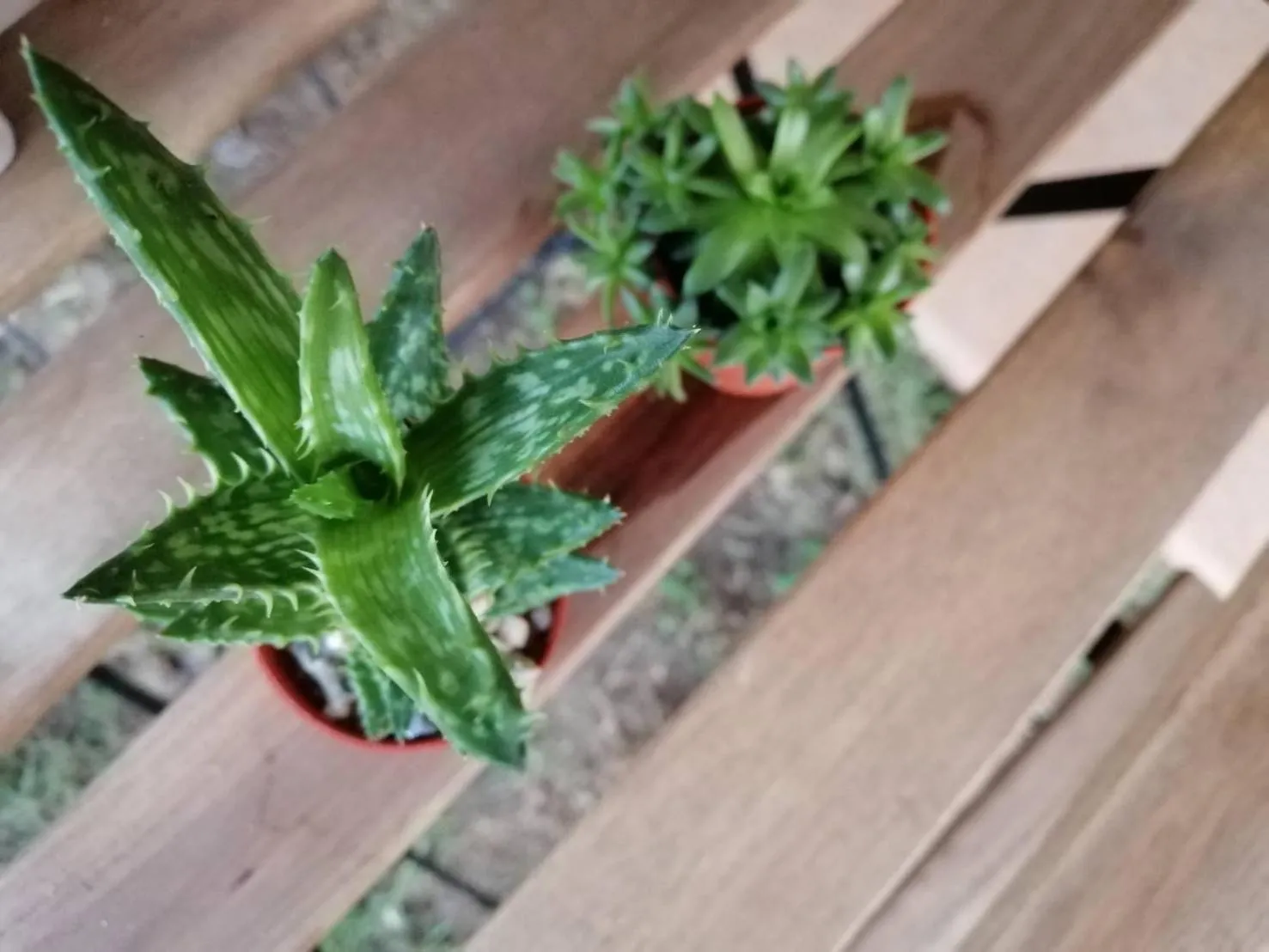 Wang Jai Kwang Space Inn