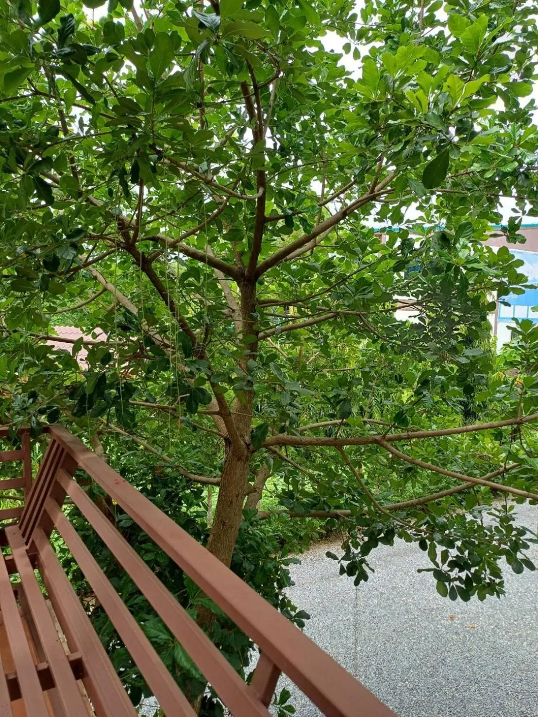 Wang Jai Kwang Space Inn