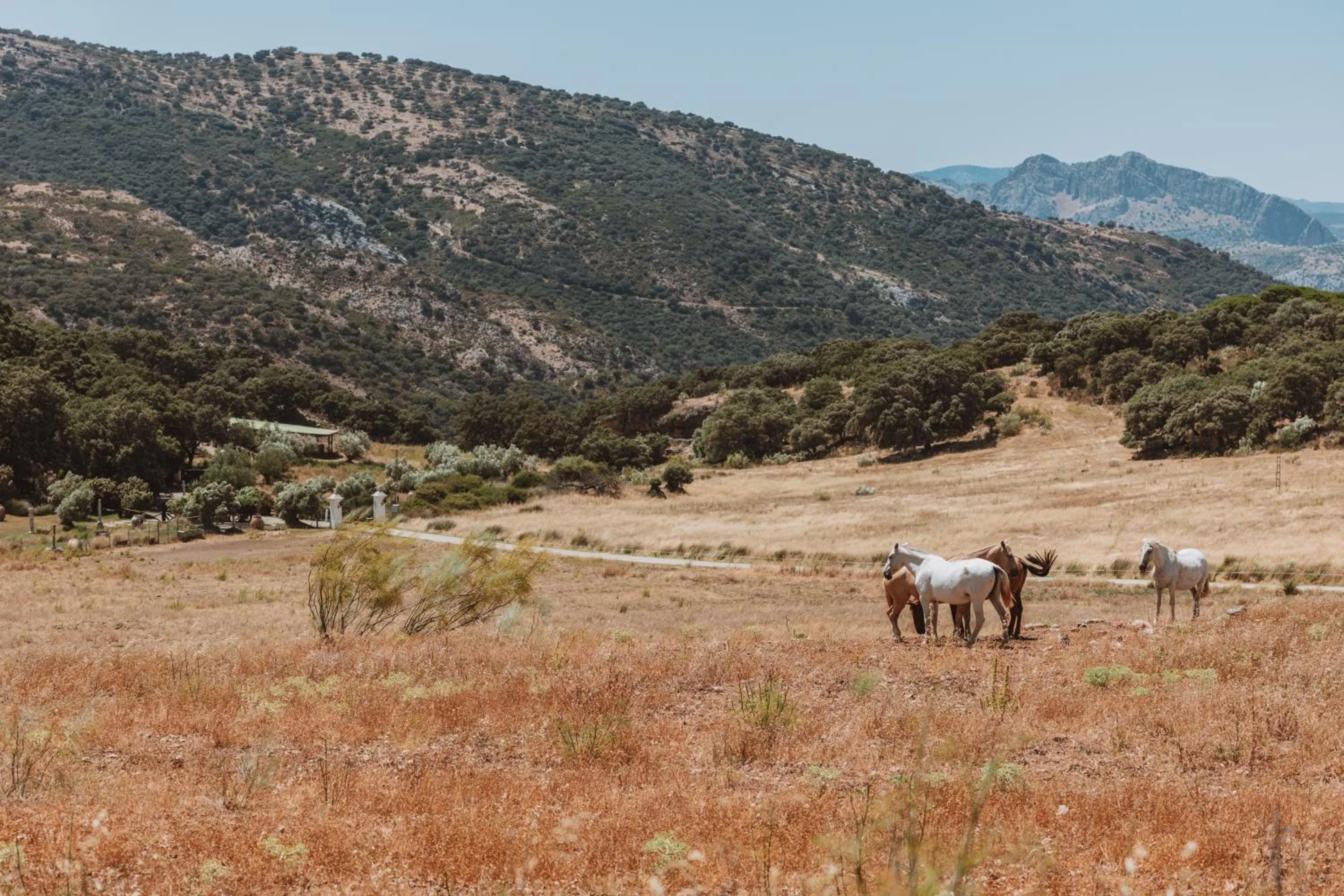 Day in Hotel Finca Los Pilares de Ronda