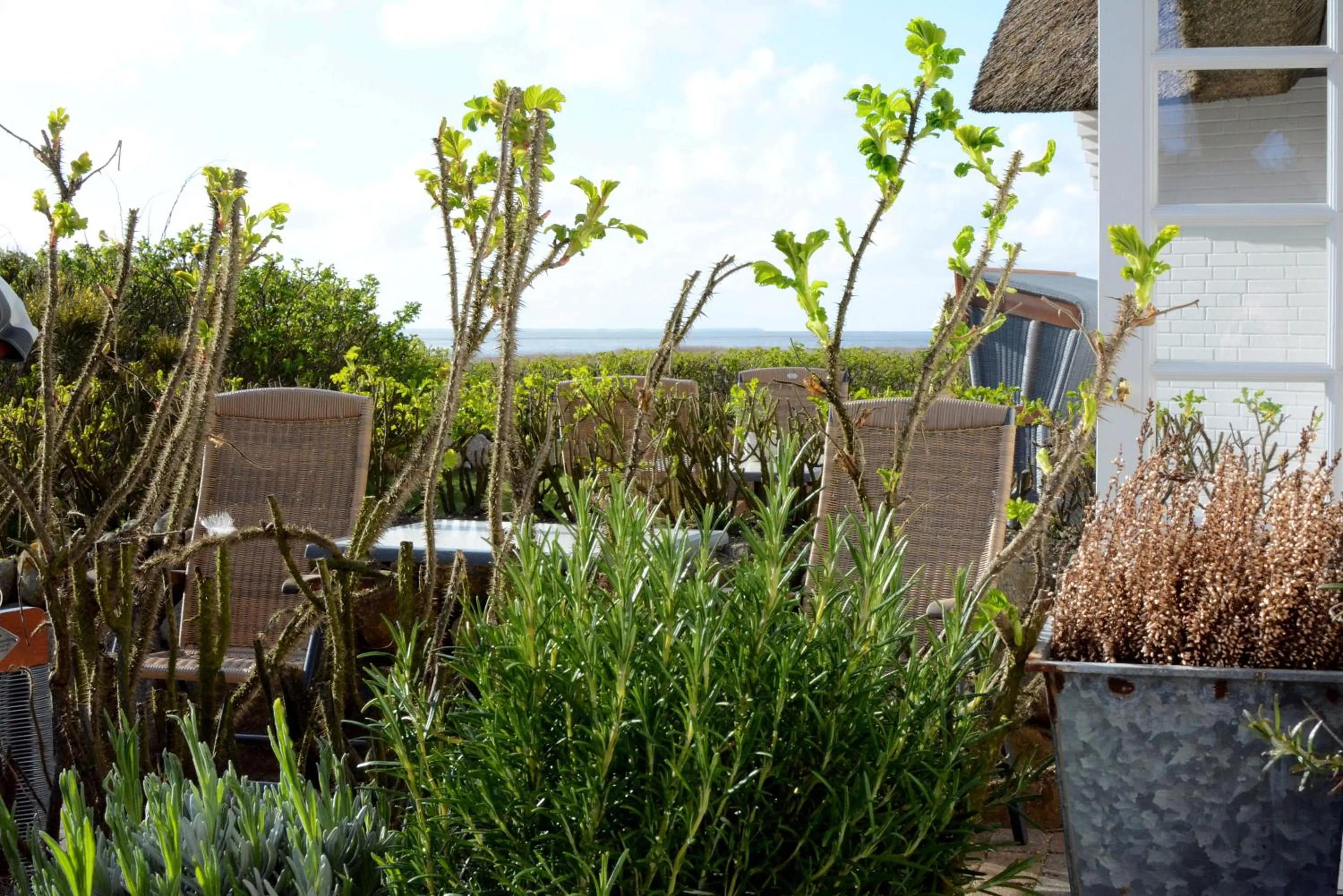 Garden in Hotel Watthof