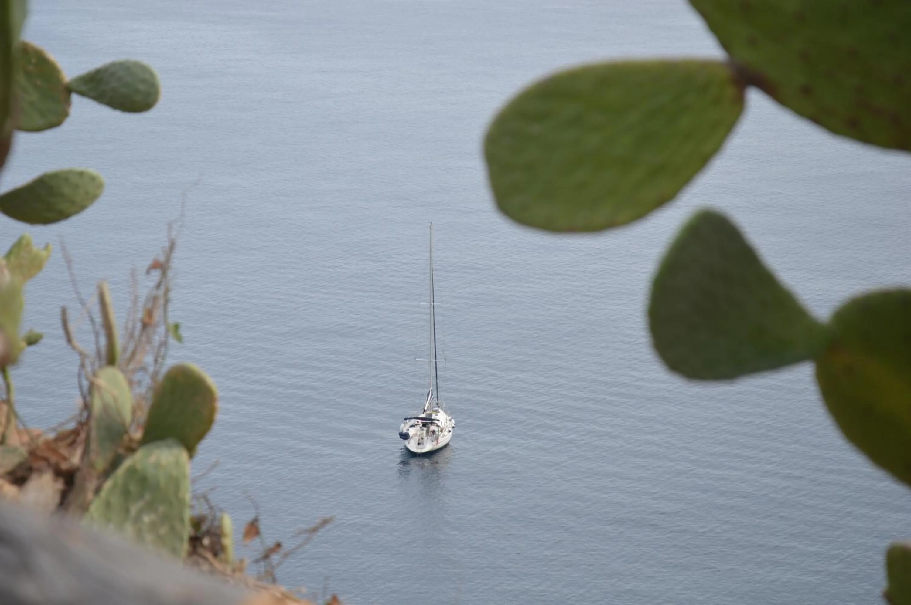 View (from property/room) in Hotel Agave e Ginestra