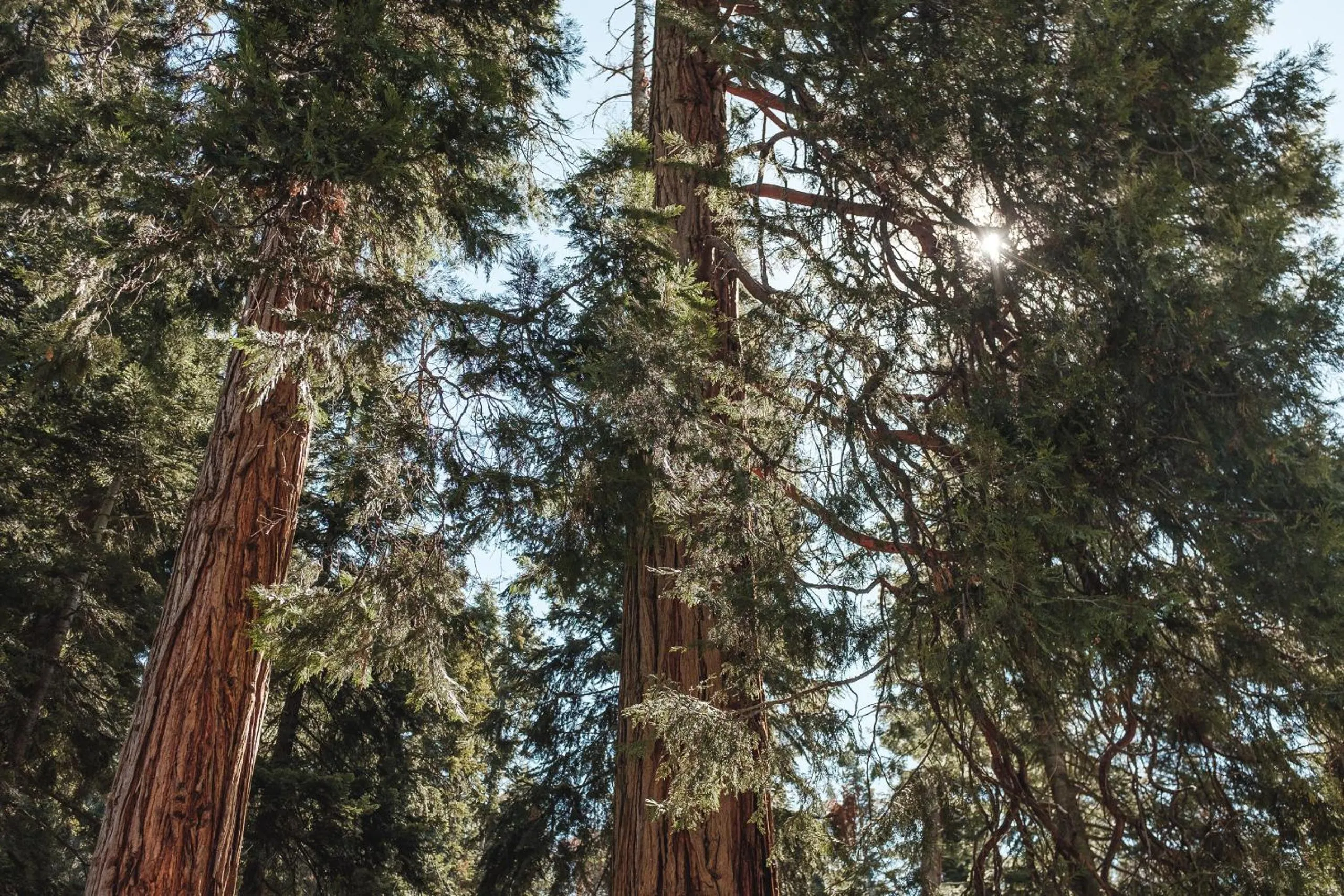 Mountain view in Silver City Mountain Resort