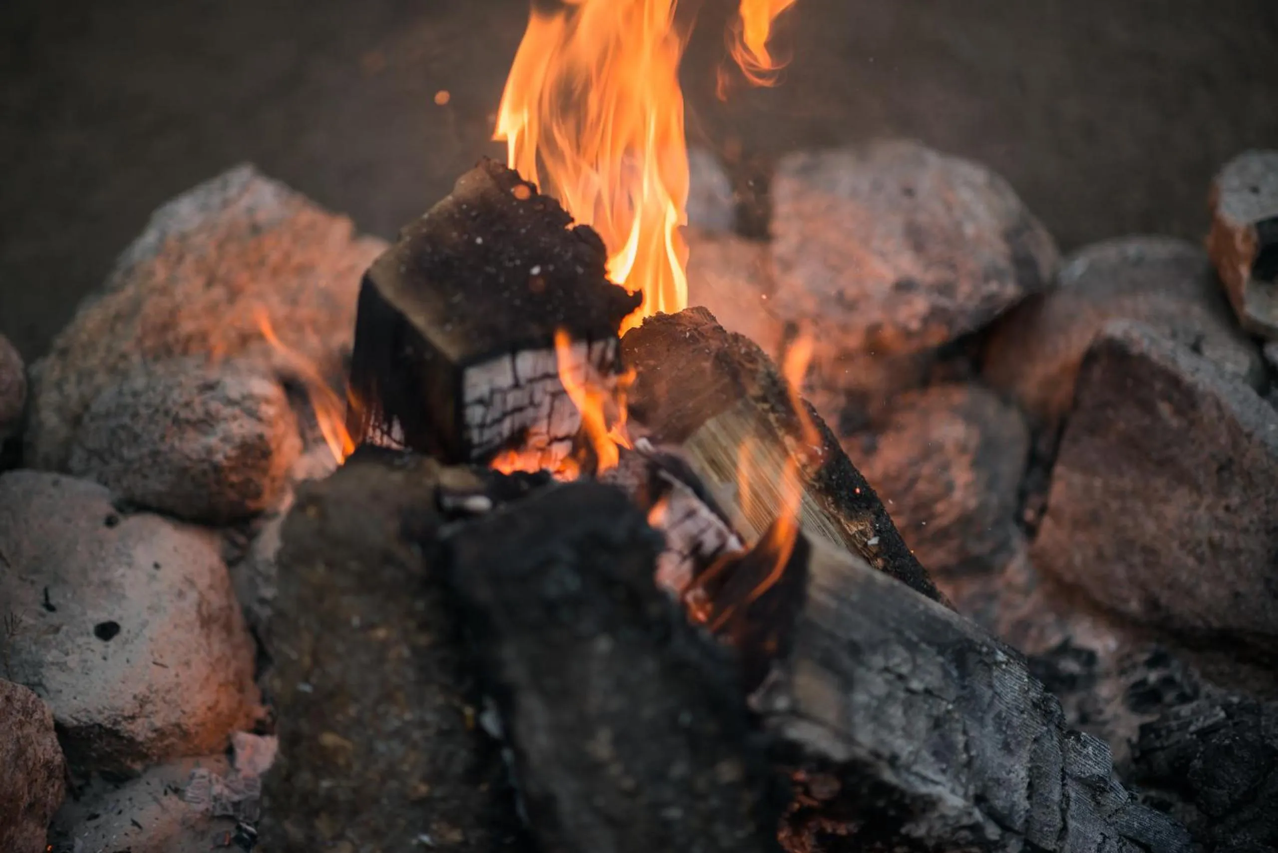 BBQ facilities in Silver City Mountain Resort