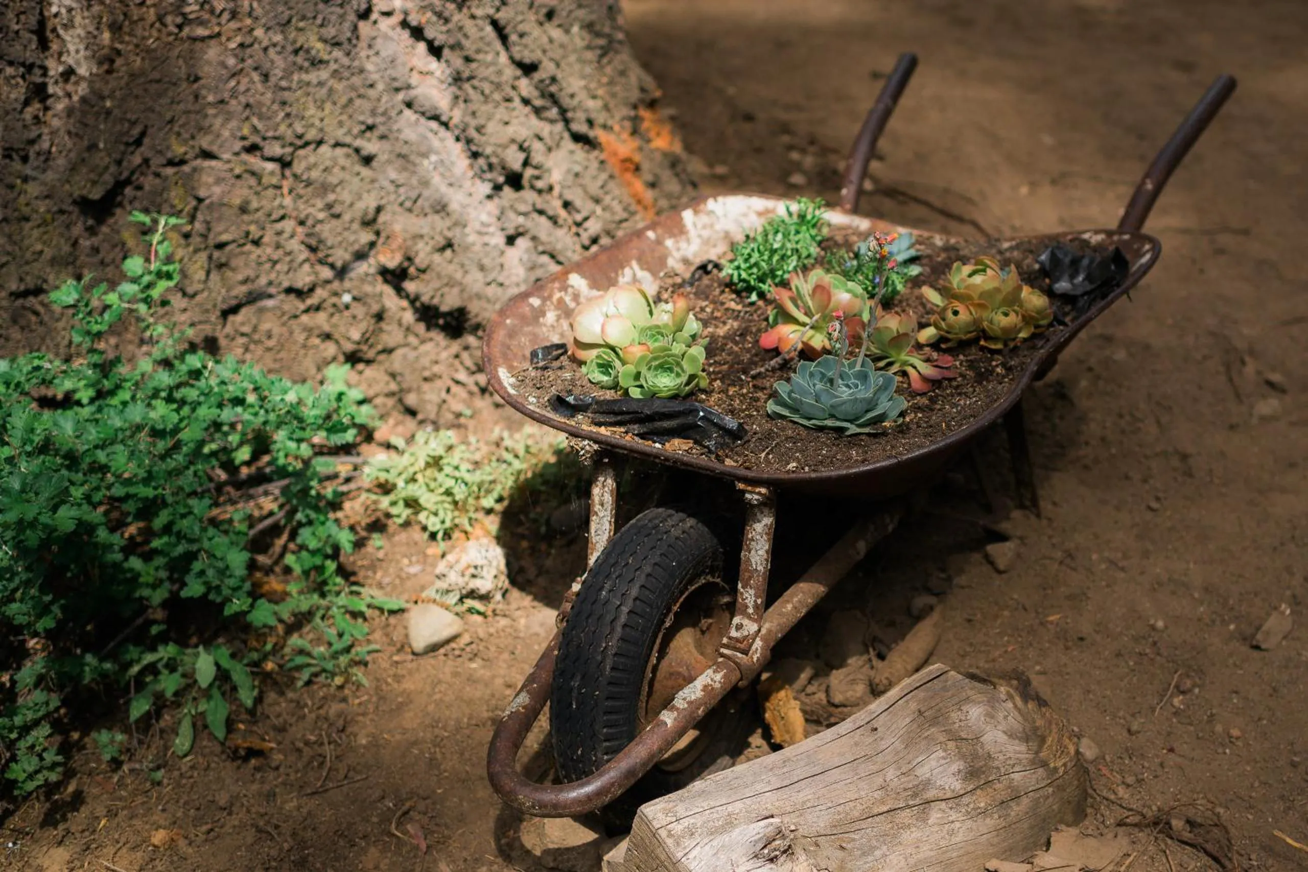 Area and facilities in Silver City Mountain Resort