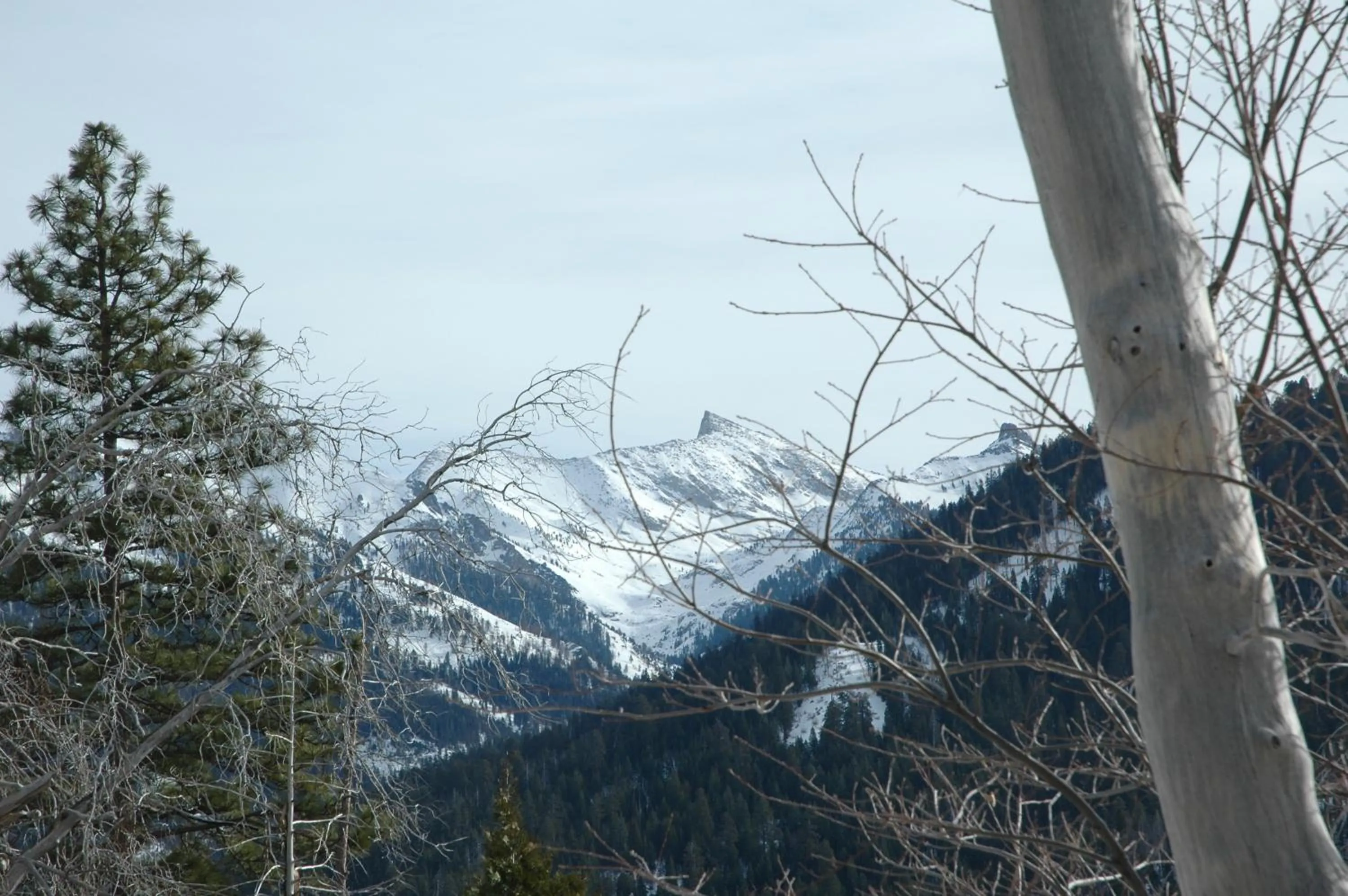 Activities in Silver City Mountain Resort