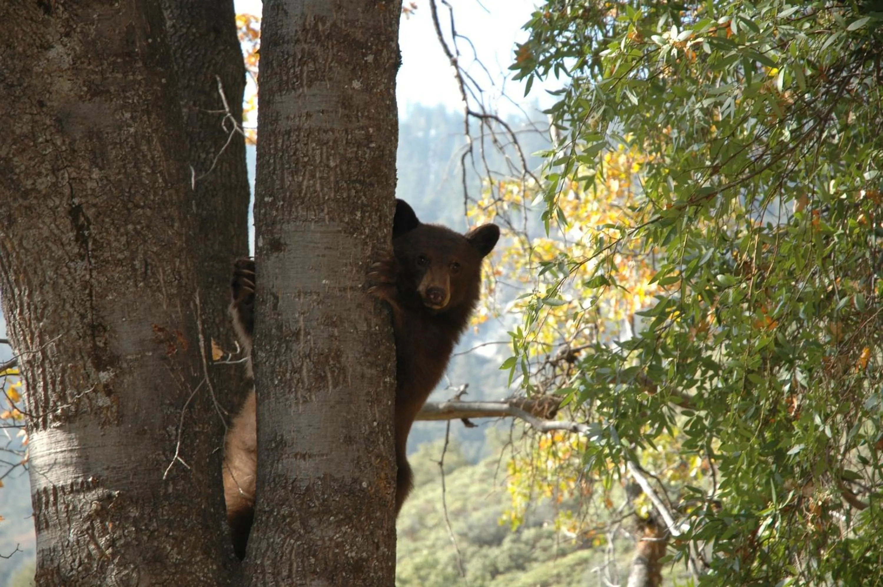 Off site in Silver City Mountain Resort